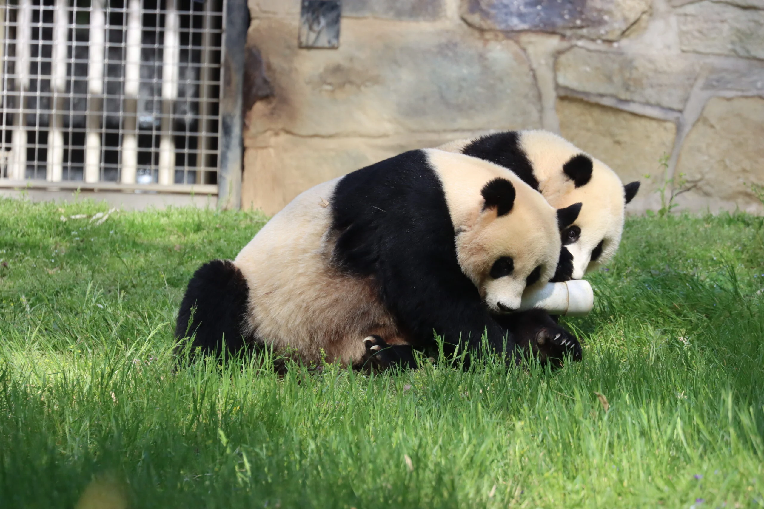 Smithsonian's National Zoo