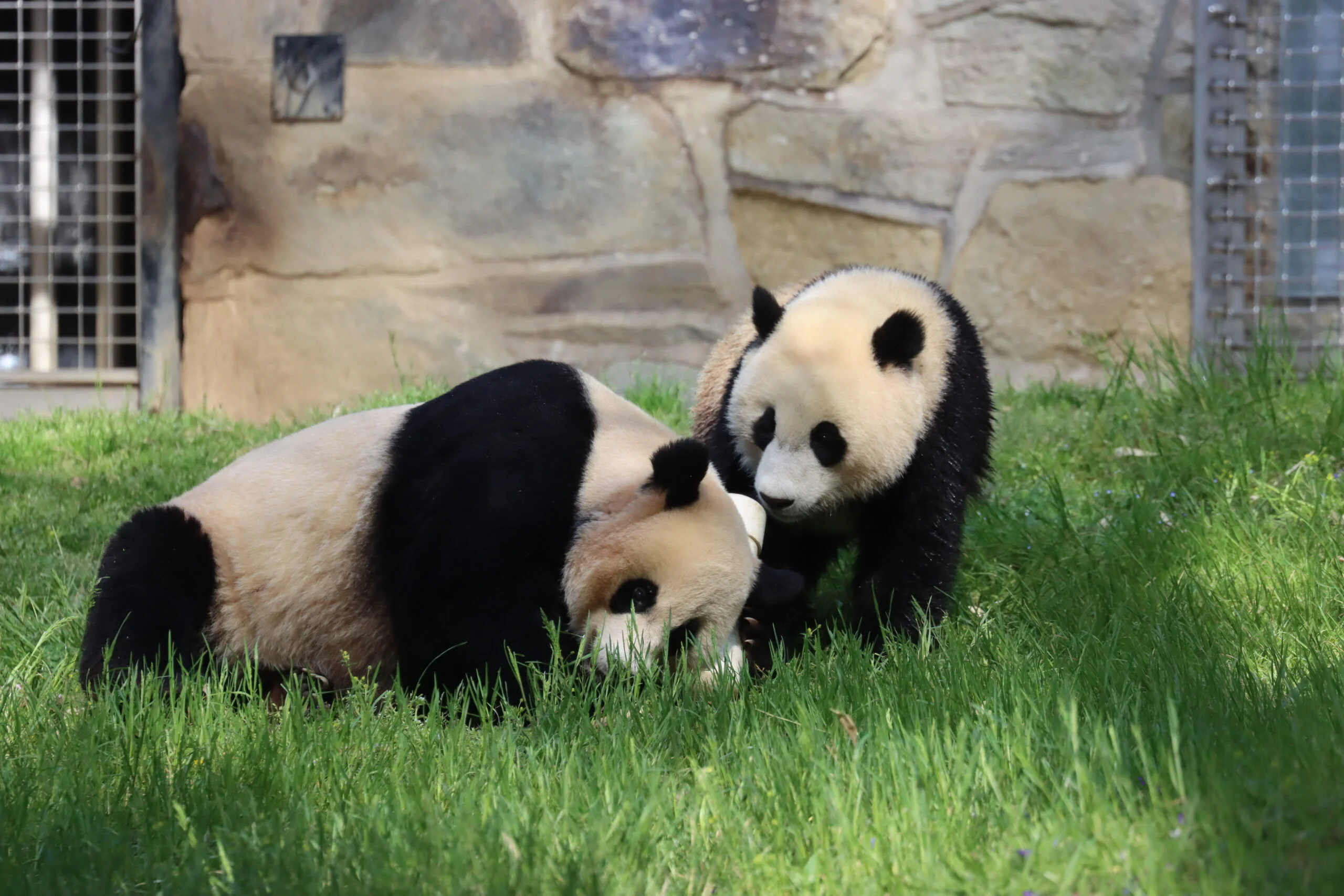 Smithsonian's National Zoo