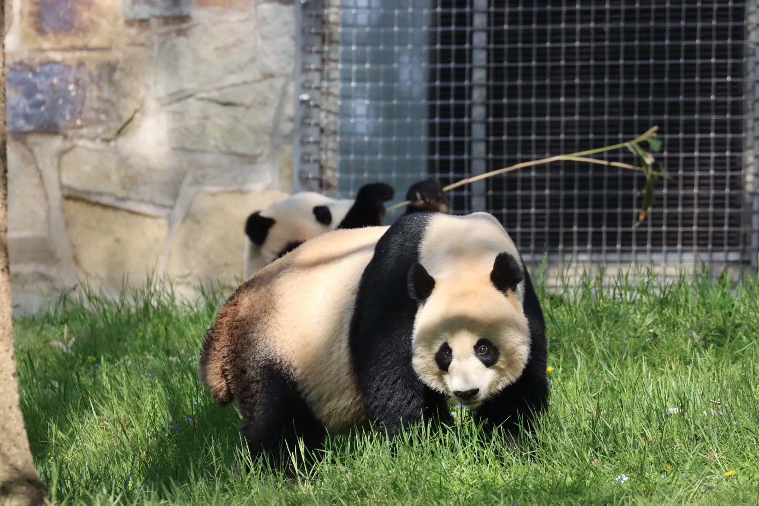 Smithsonian's National Zoo
