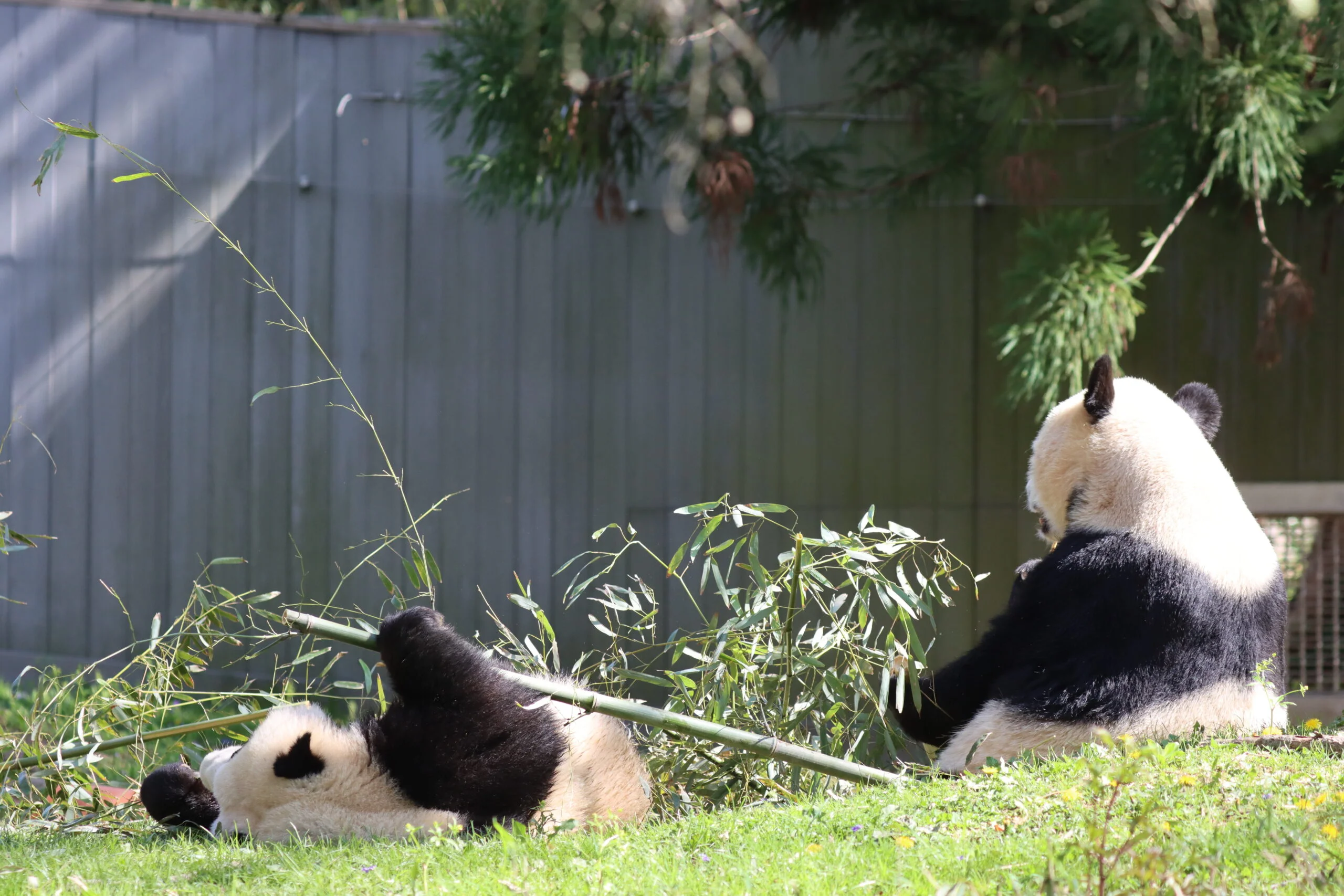 Smithsonian's National Zoo