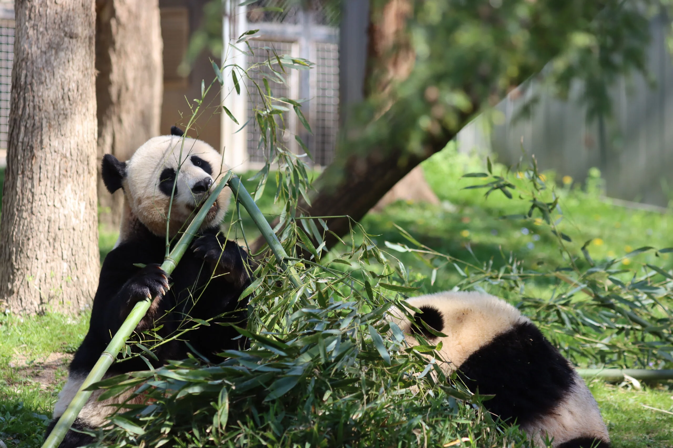 Smithsonian's National Zoo