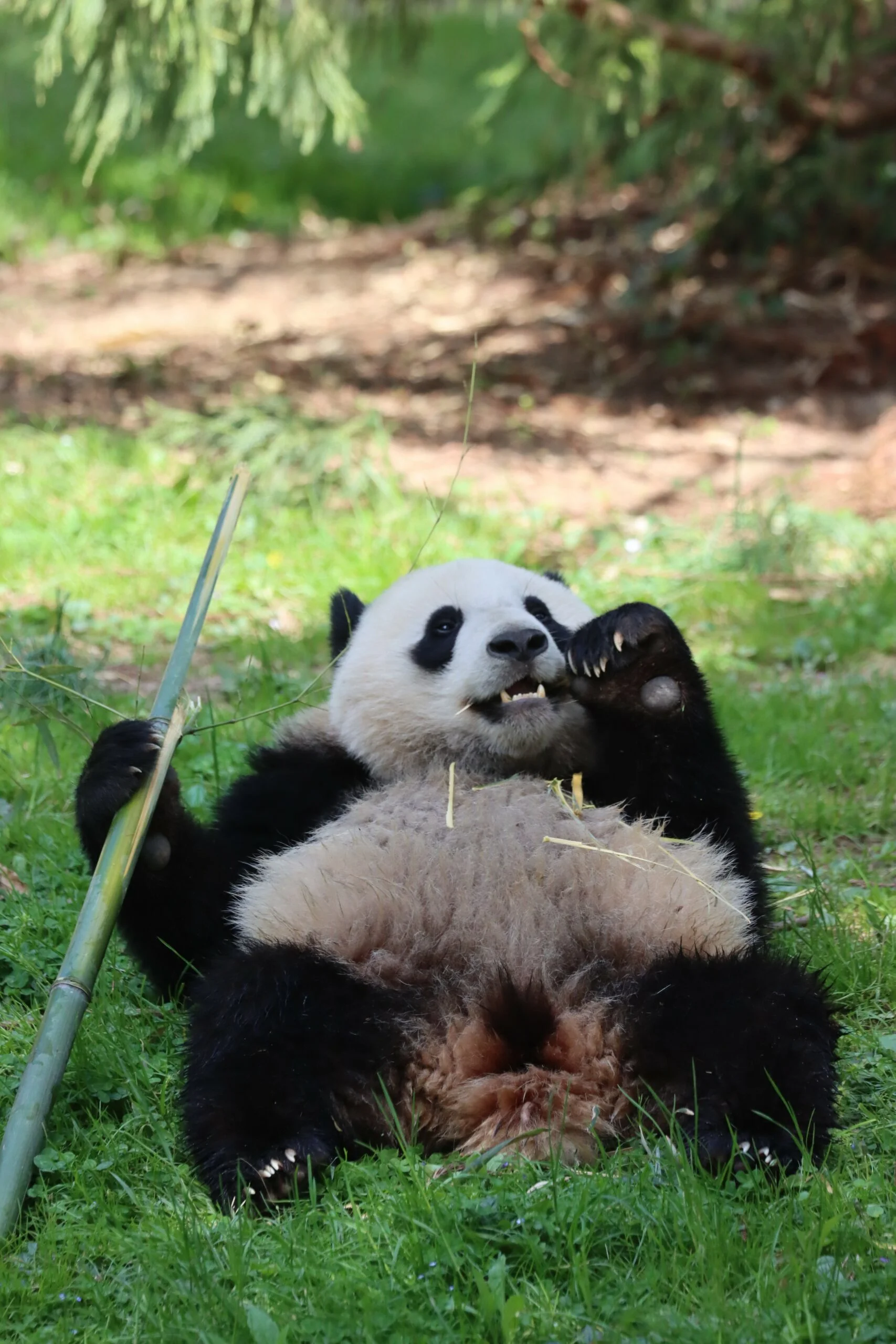 Smithsonian's National Zoo