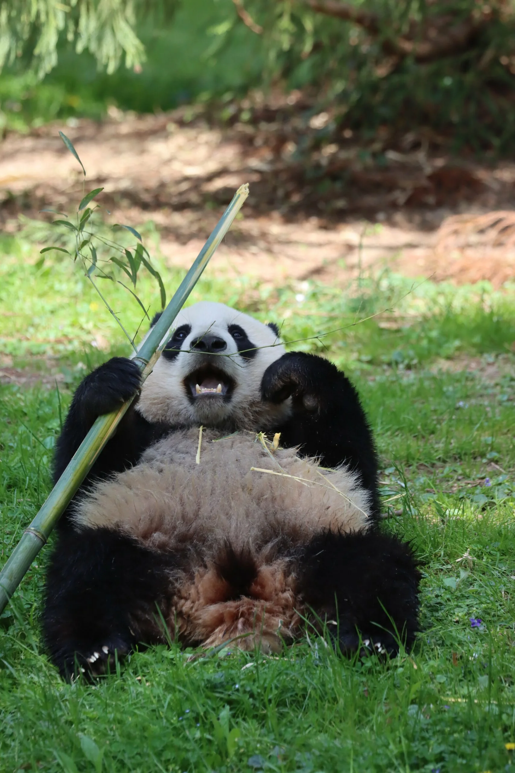 Smithsonian's National Zoo