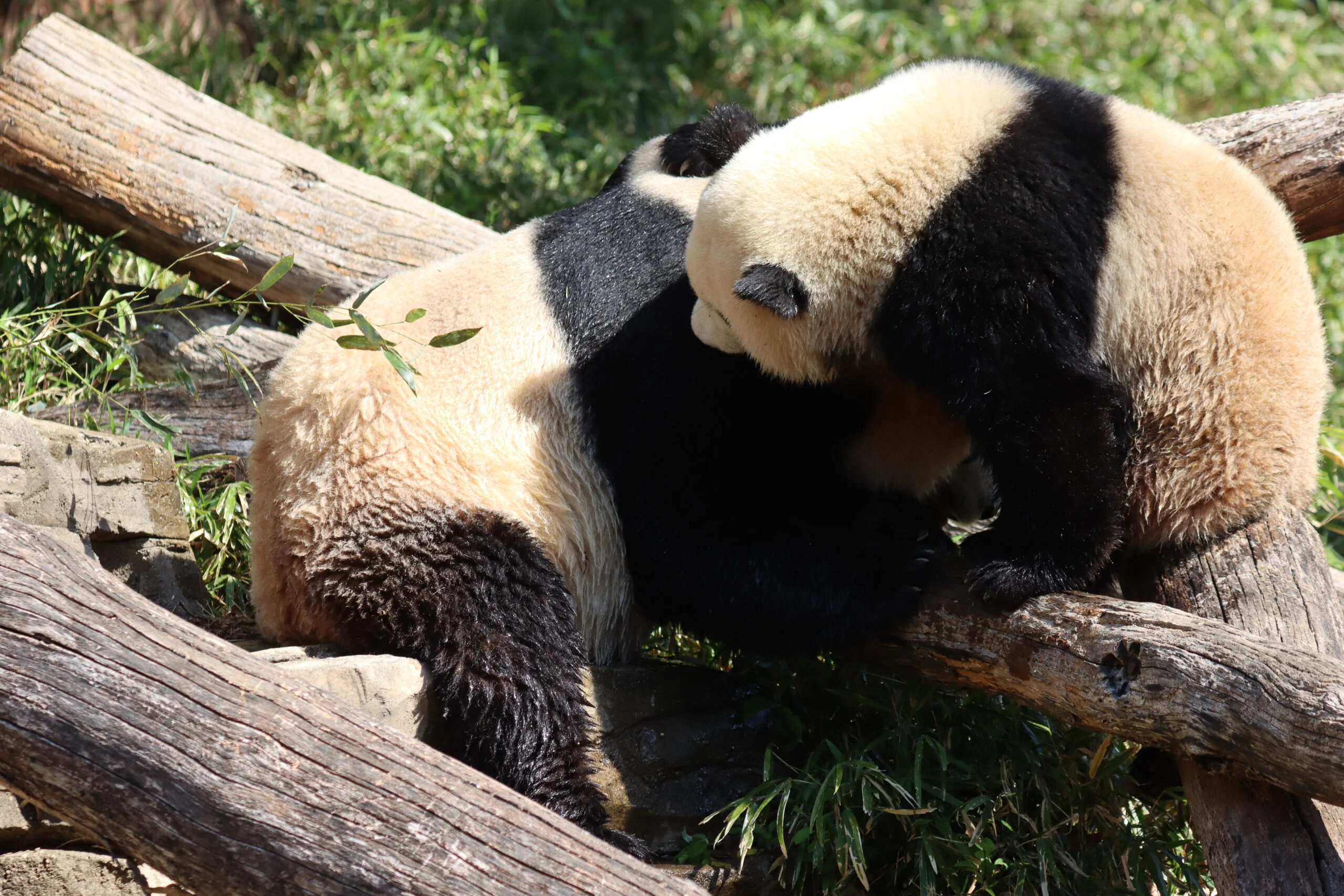 Smithsonian's National Zoo