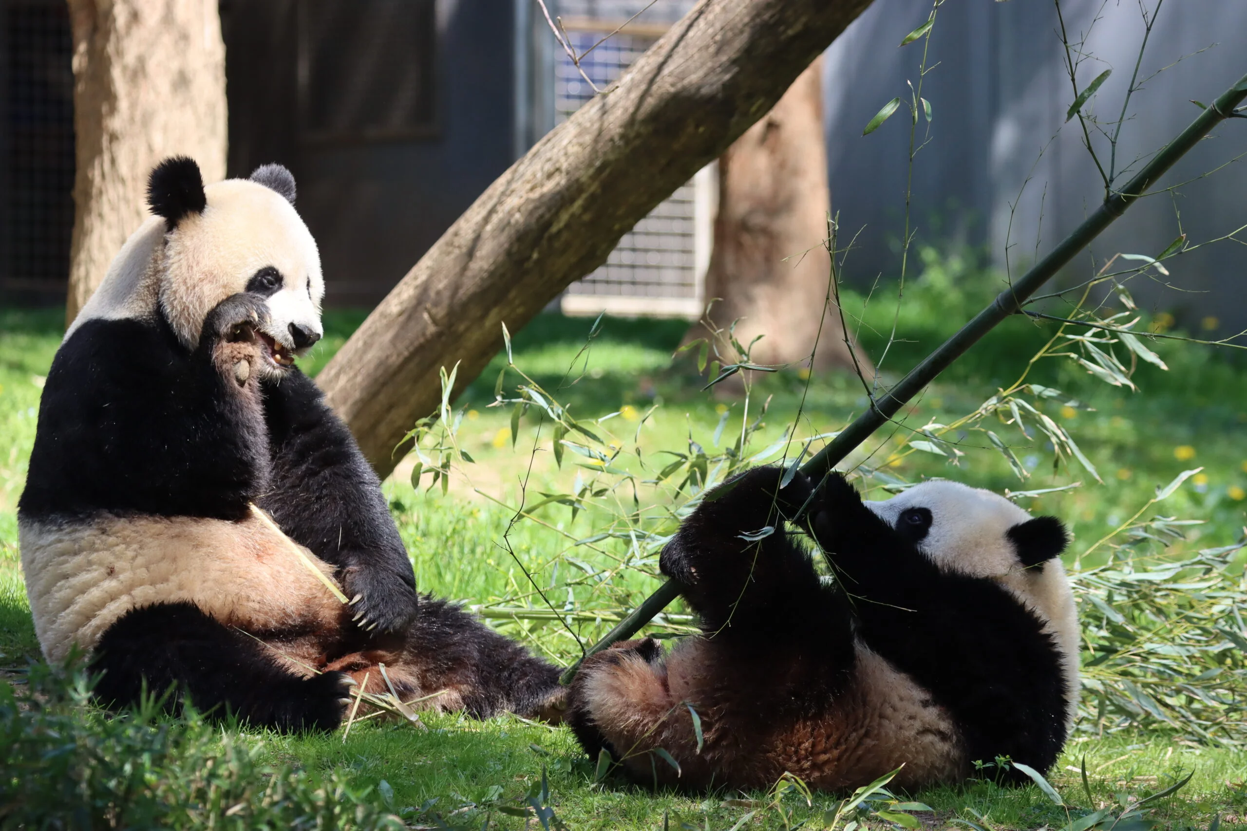 Smithsonian's National Zoo