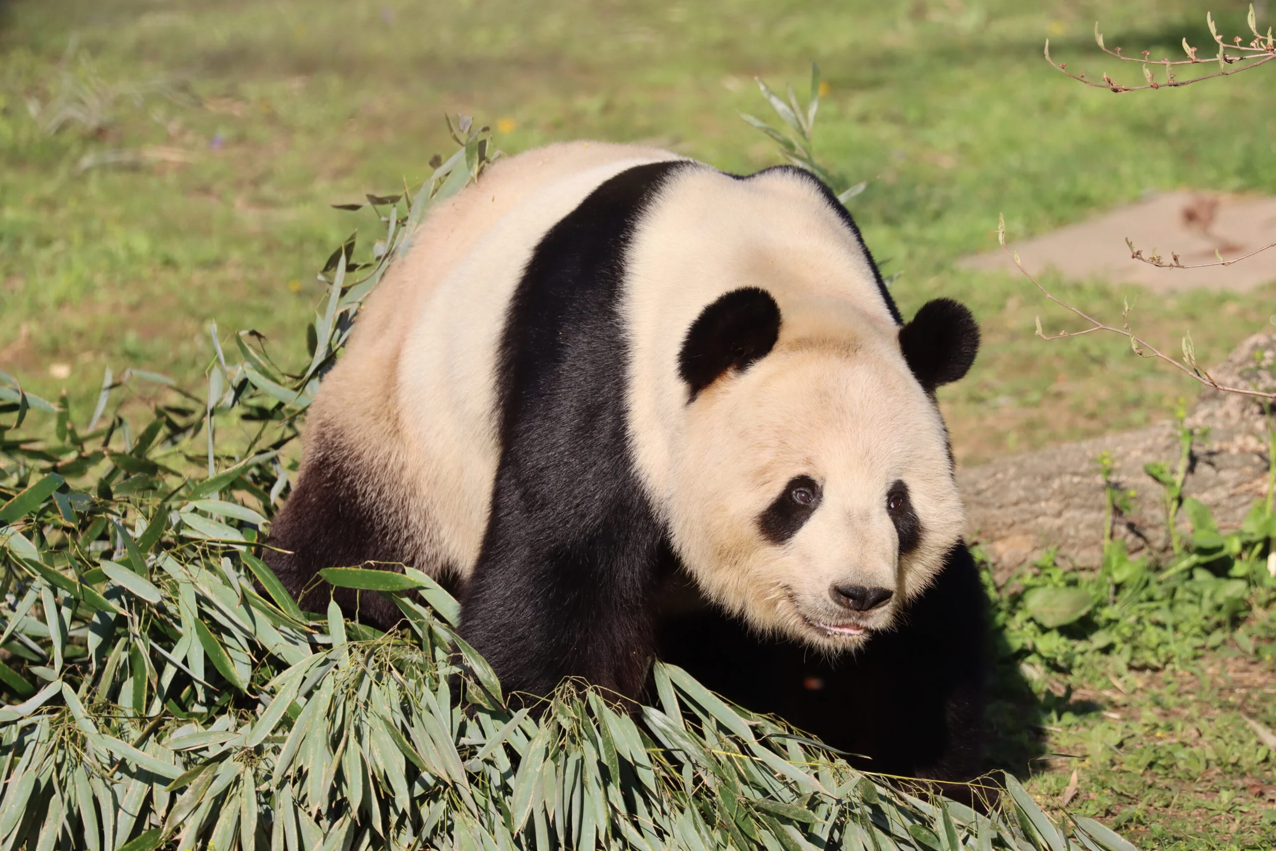 Smithsonian's National Zoo