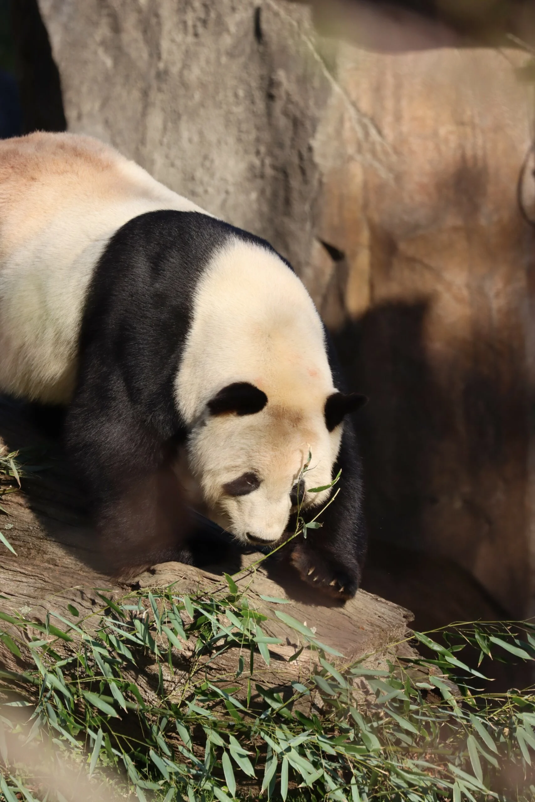 Smithsonian's National Zoo
