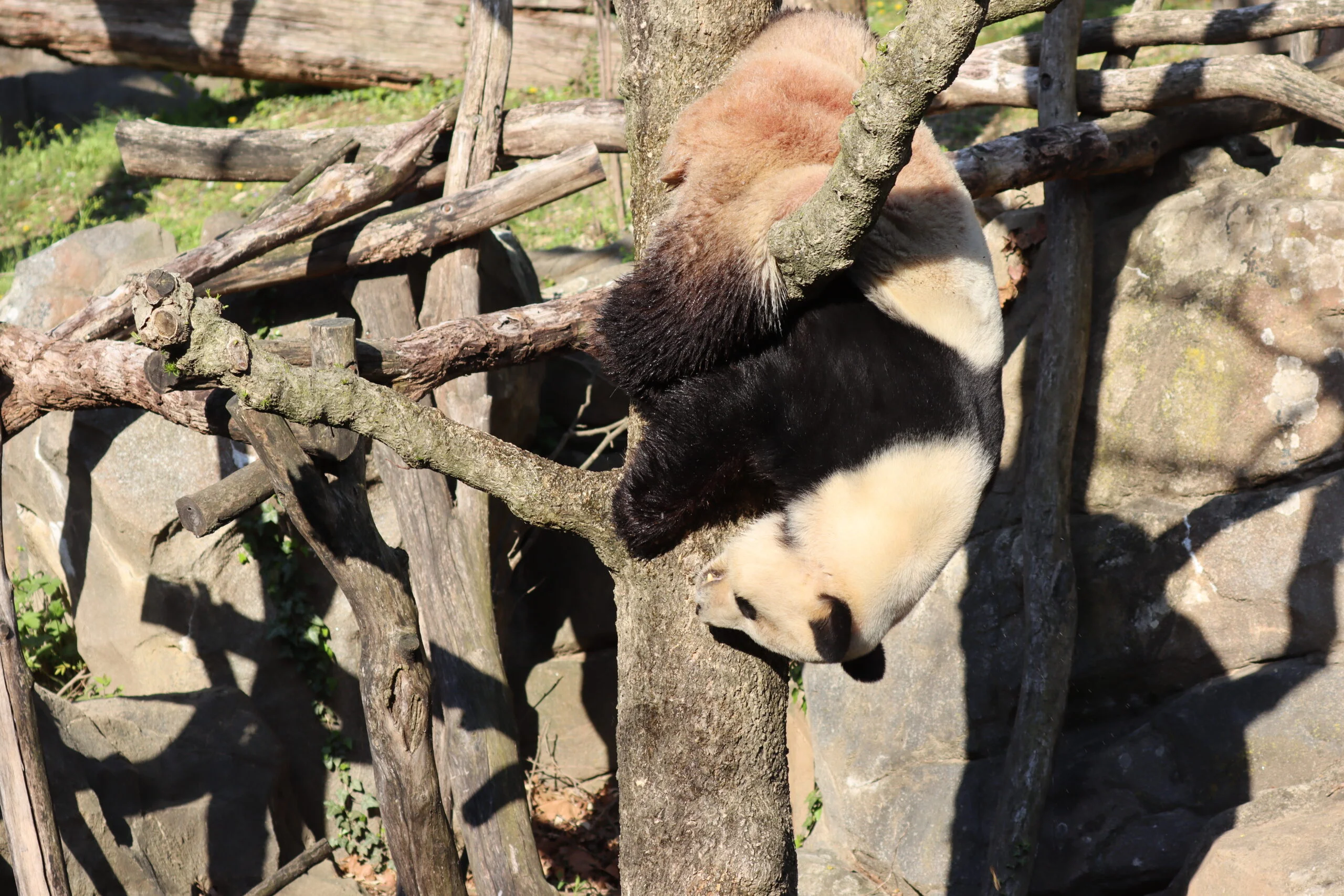 Smithsonian's National Zoo