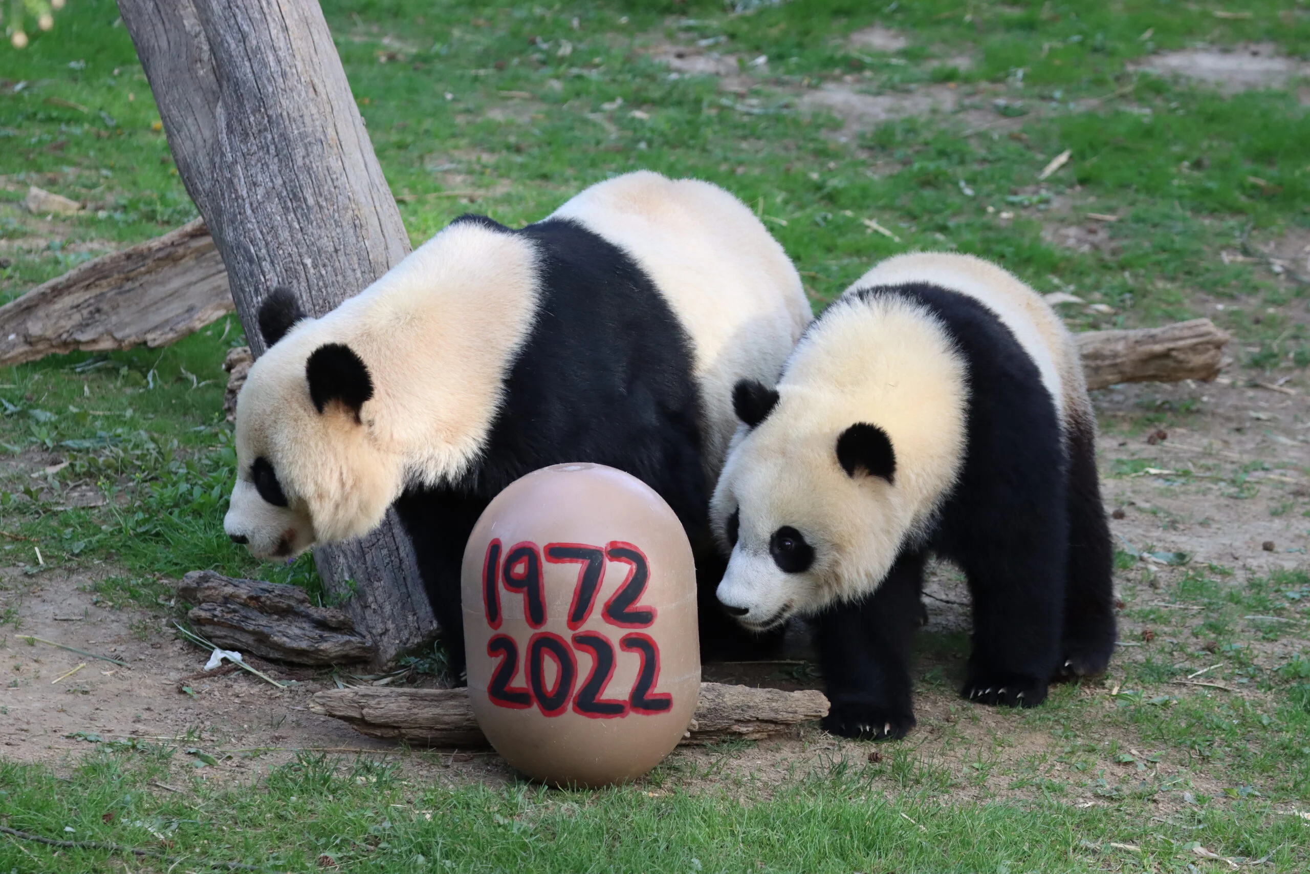 Smithsonian's National Zoo