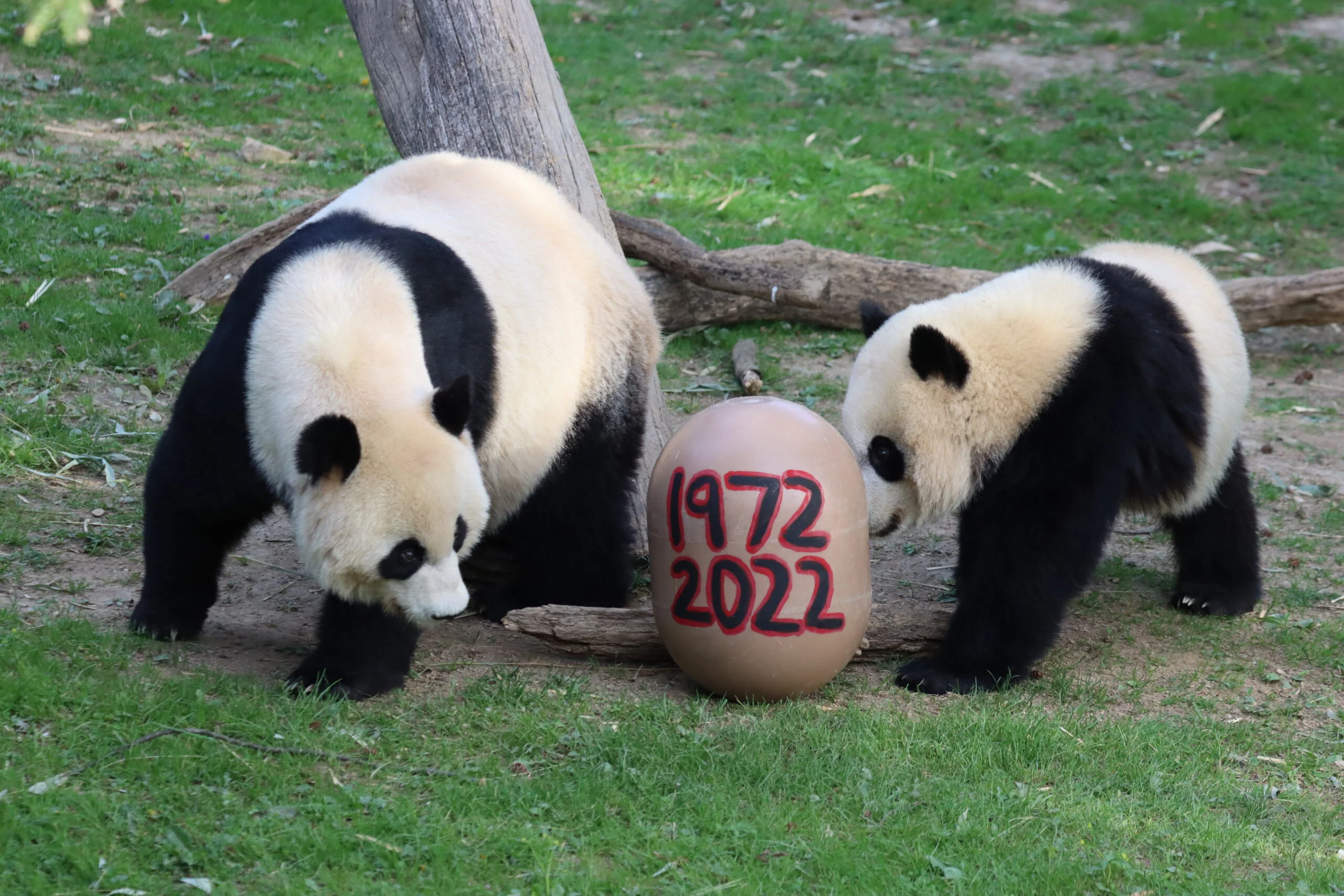 Smithsonian's National Zoo