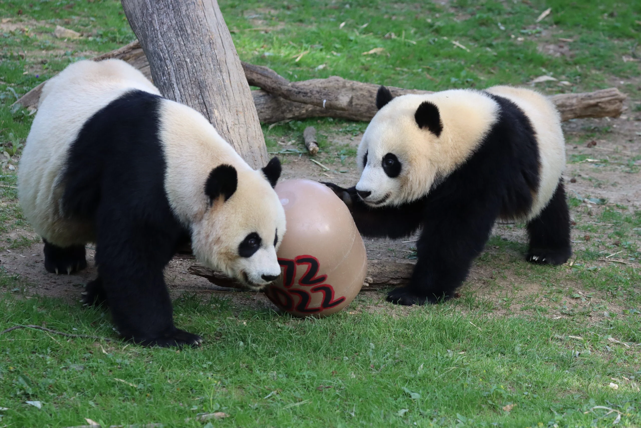 Smithsonian's National Zoo