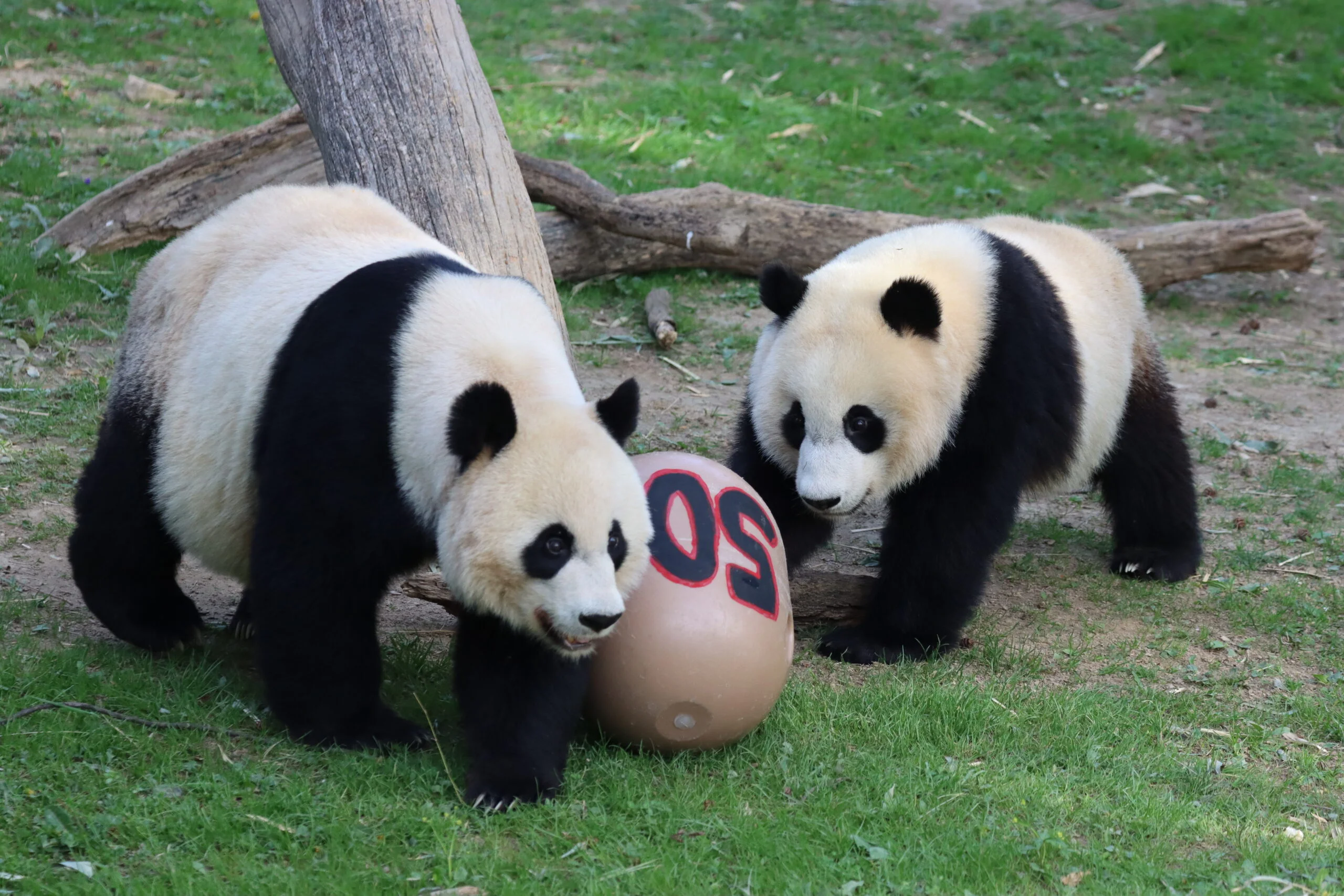 Smithsonian's National Zoo