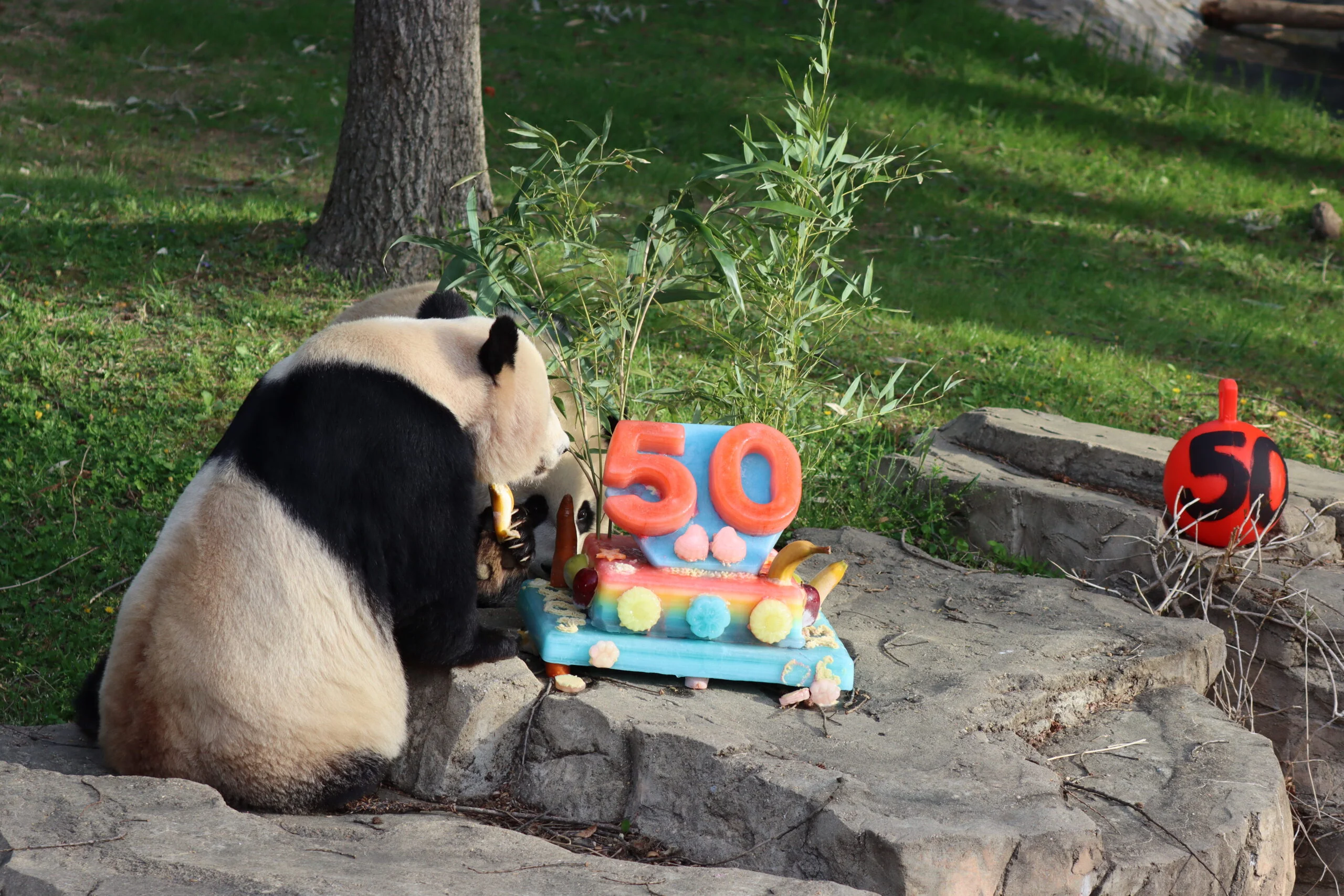 Smithsonian's National Zoo