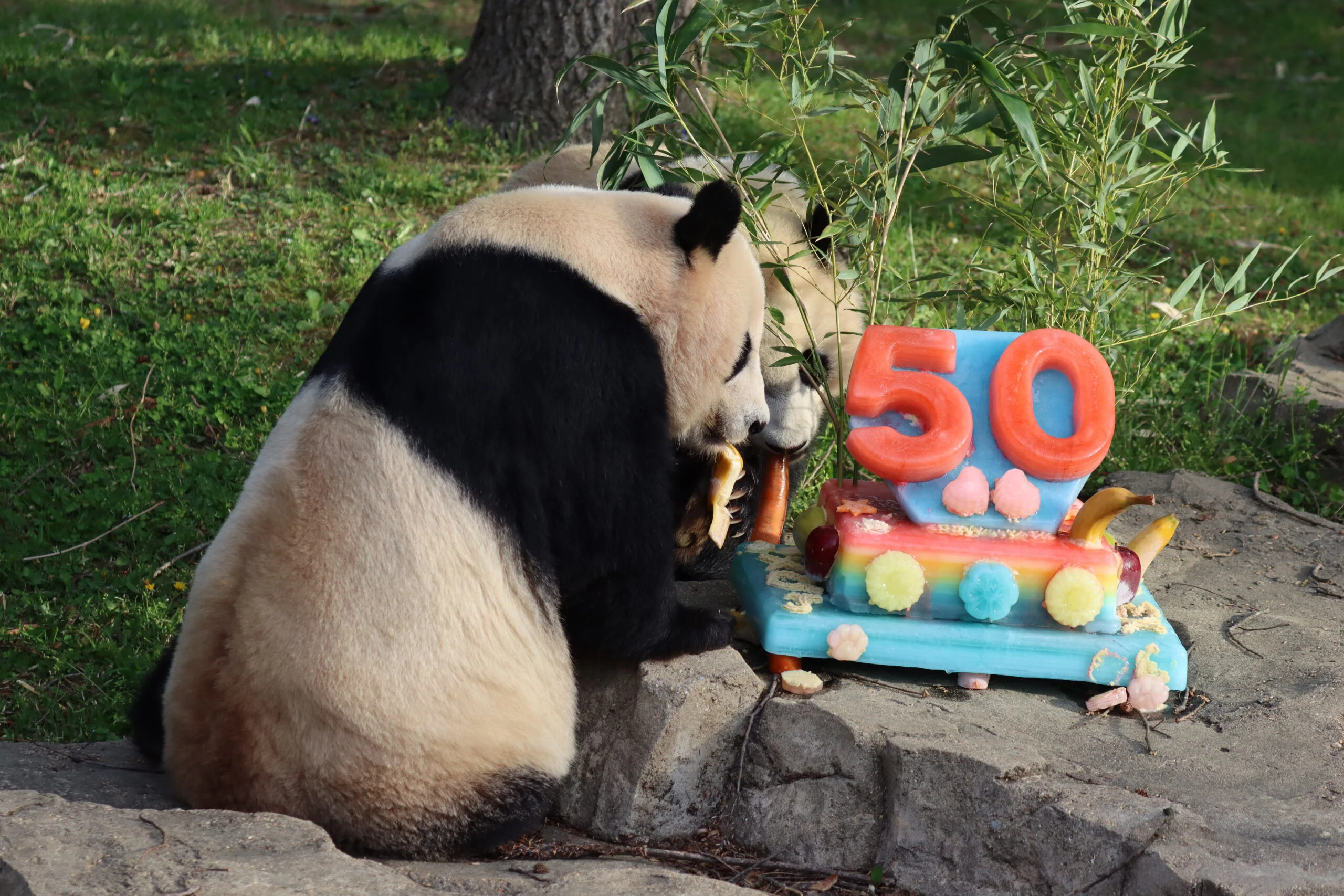 Smithsonian's National Zoo