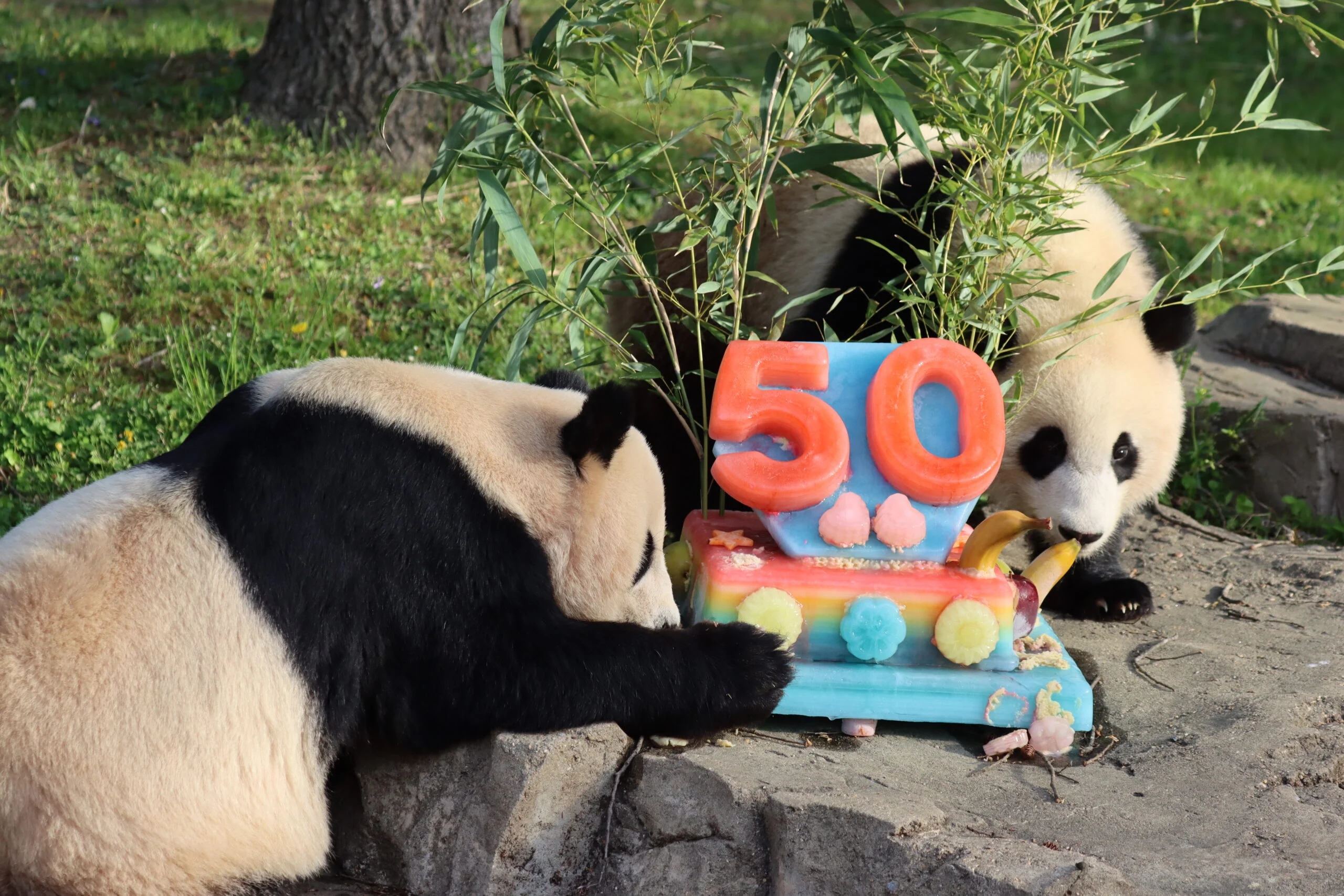 Smithsonian's National Zoo