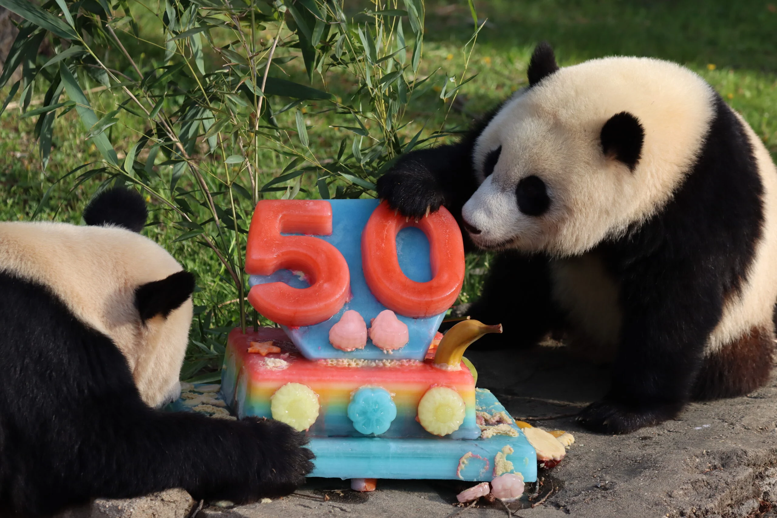 Smithsonian's National Zoo