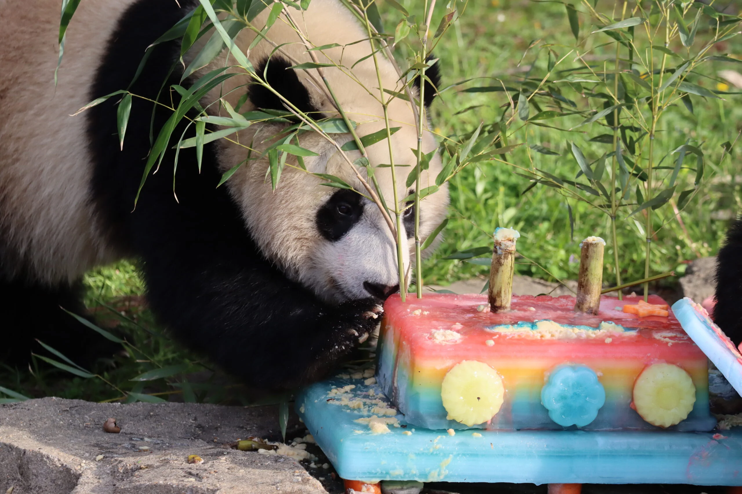 Smithsonian's National Zoo