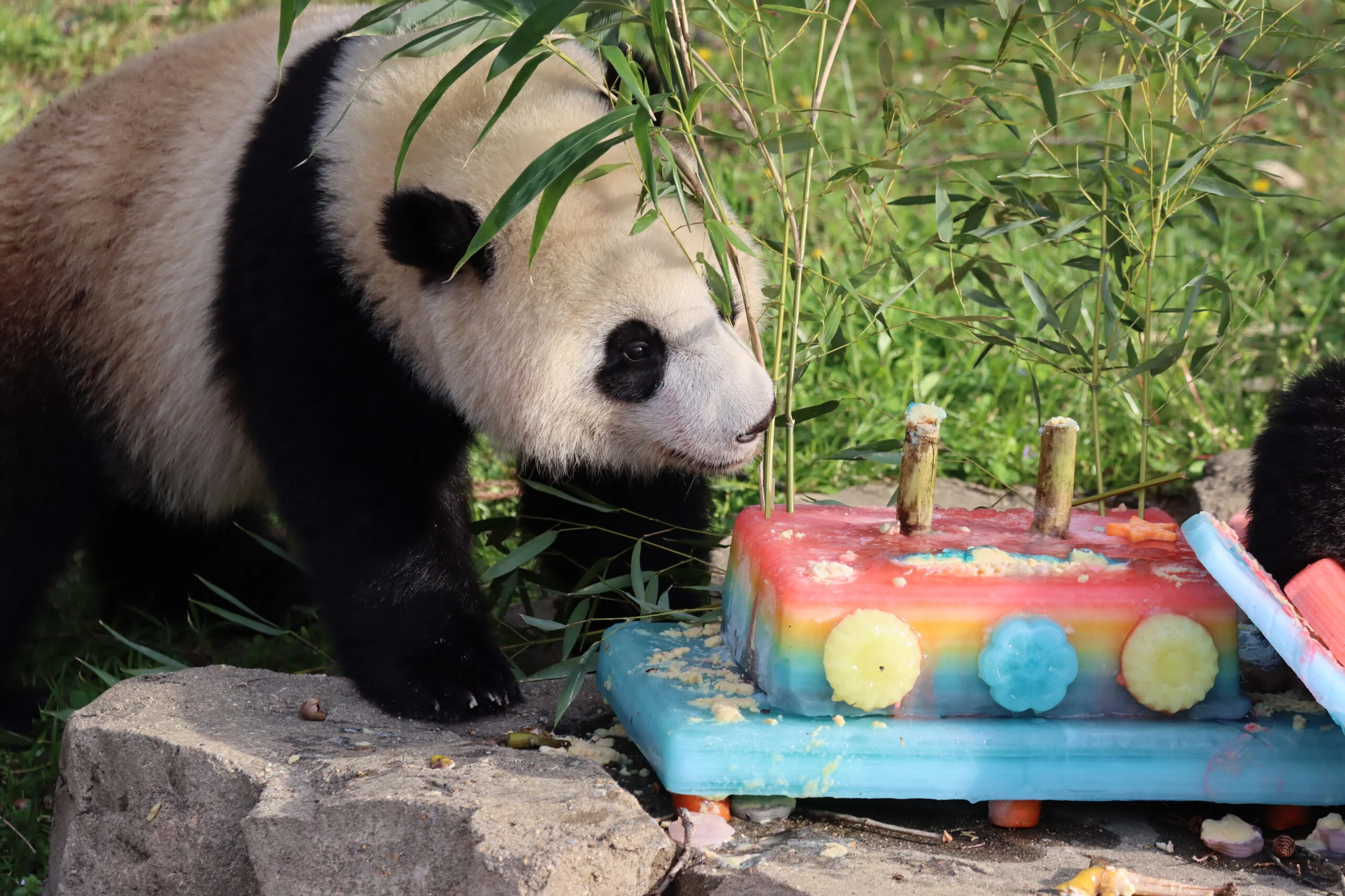 Smithsonian's National Zoo