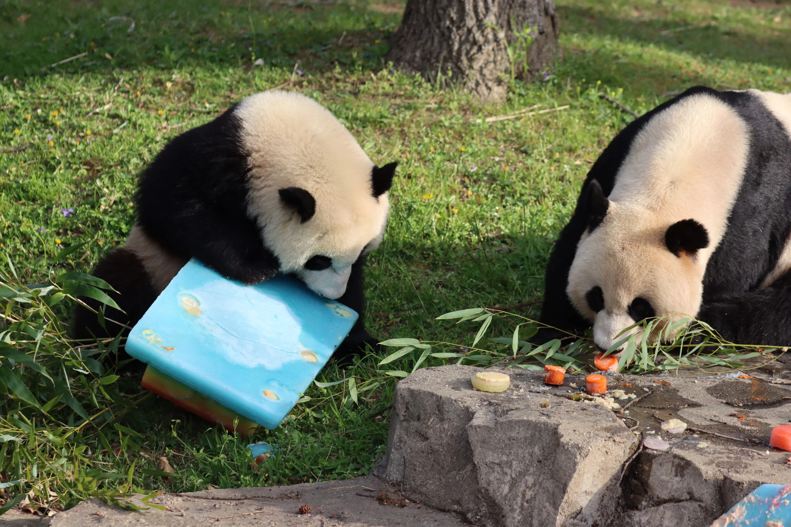 Smithsonian's National Zoo