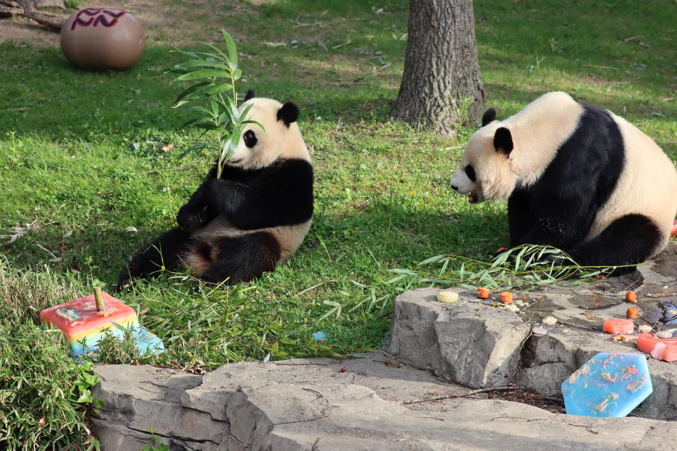 Smithsonian's National Zoo
