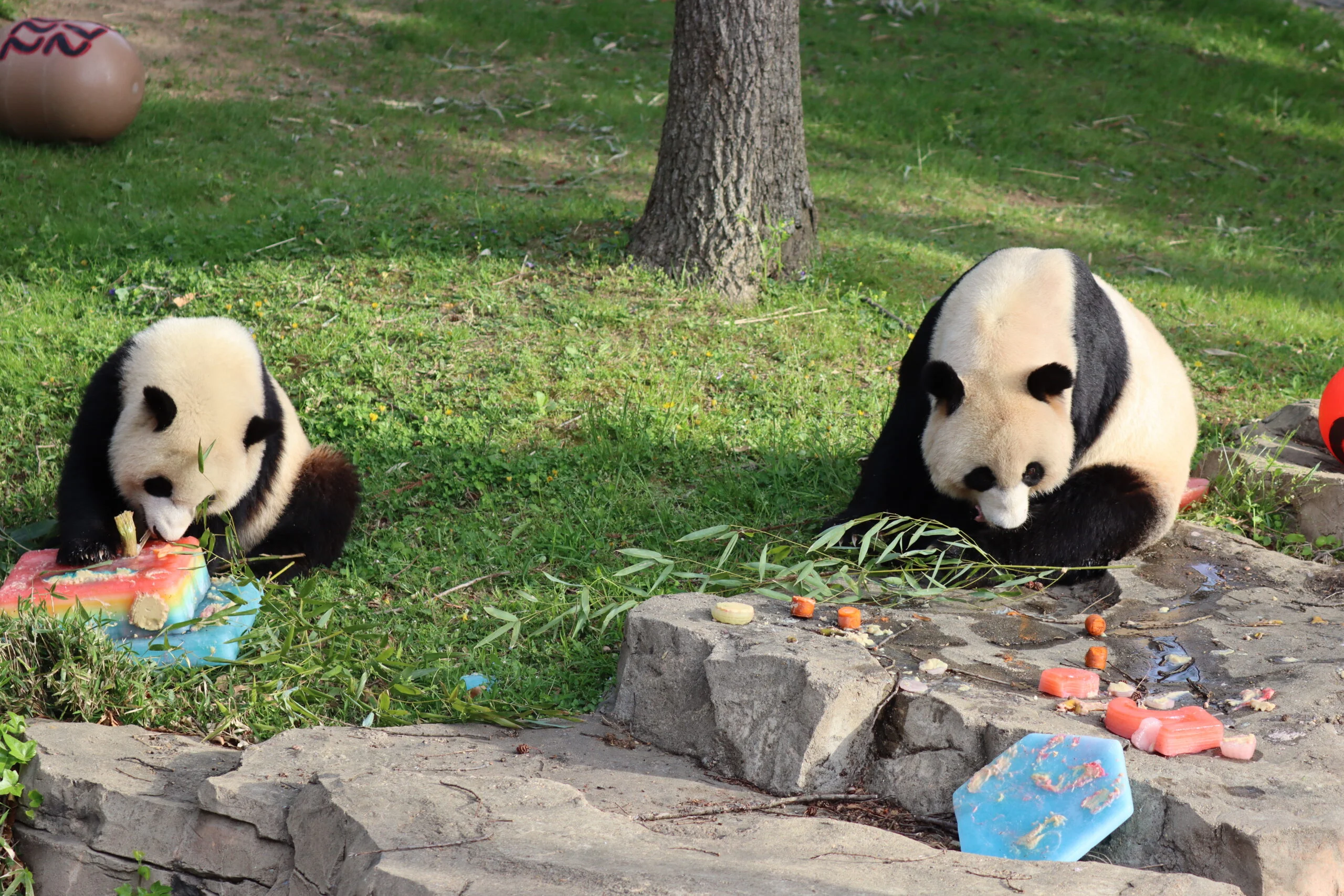 Smithsonian's National Zoo