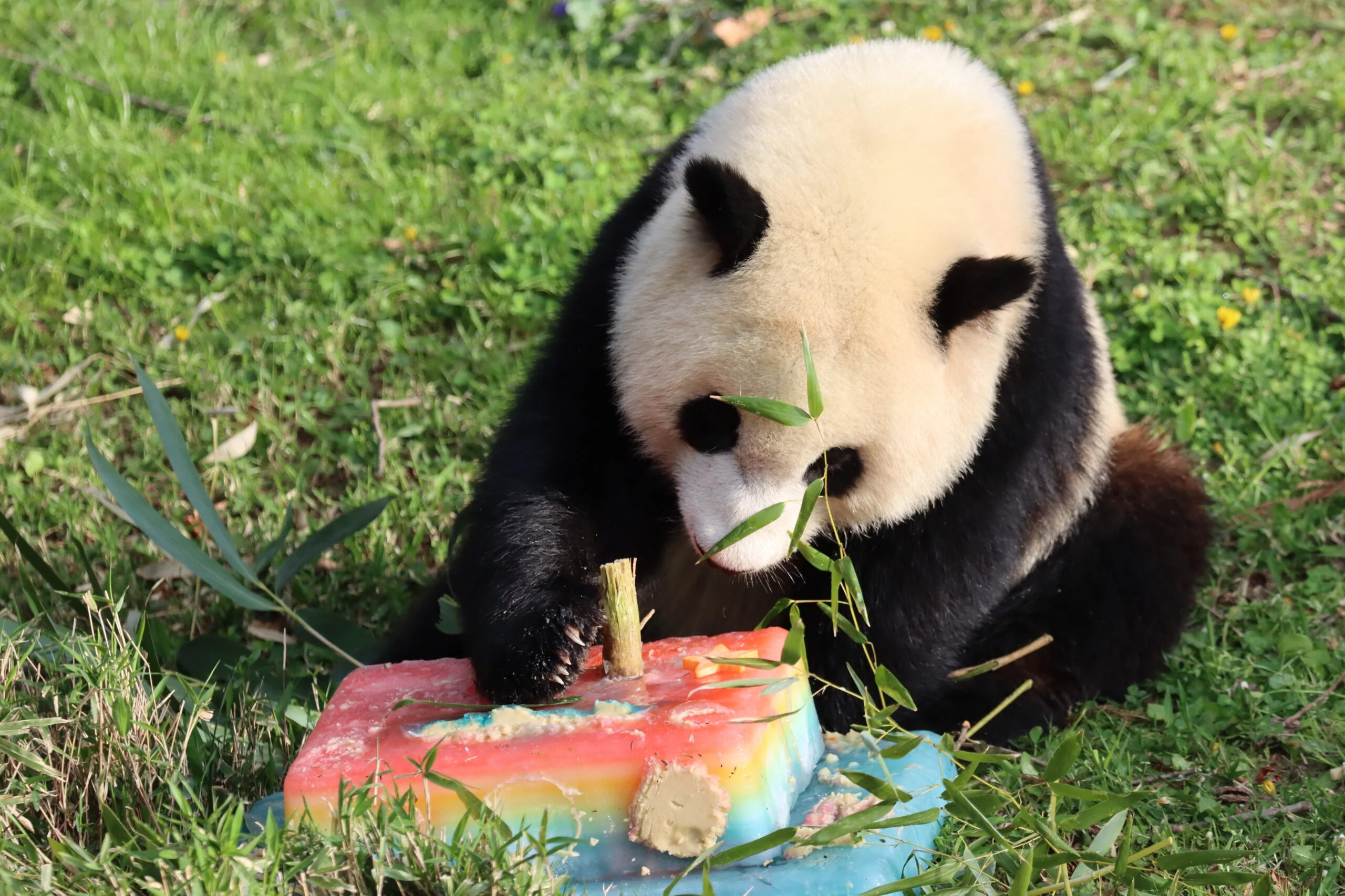 Smithsonian's National Zoo