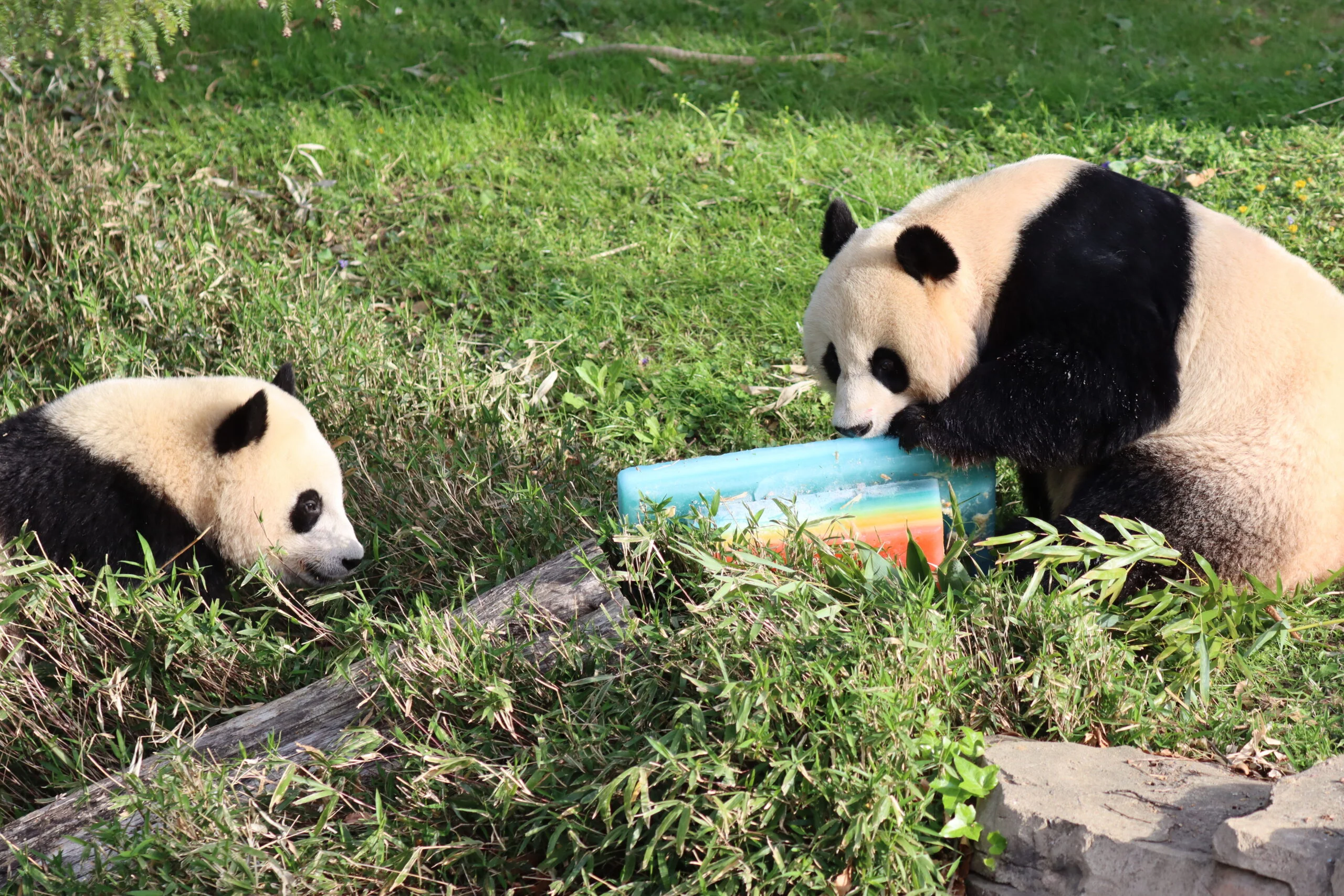 Smithsonian's National Zoo