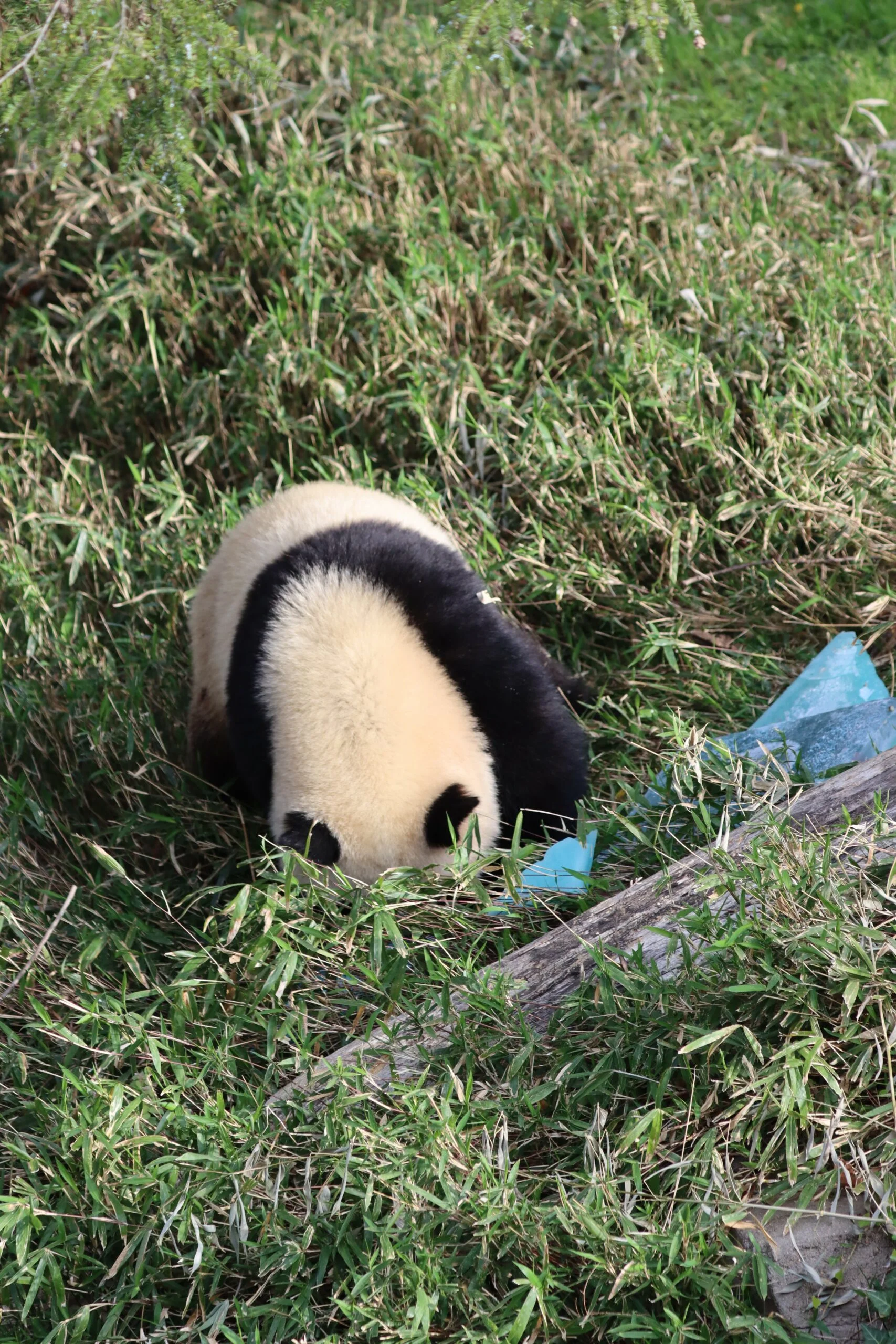 Smithsonian's National Zoo