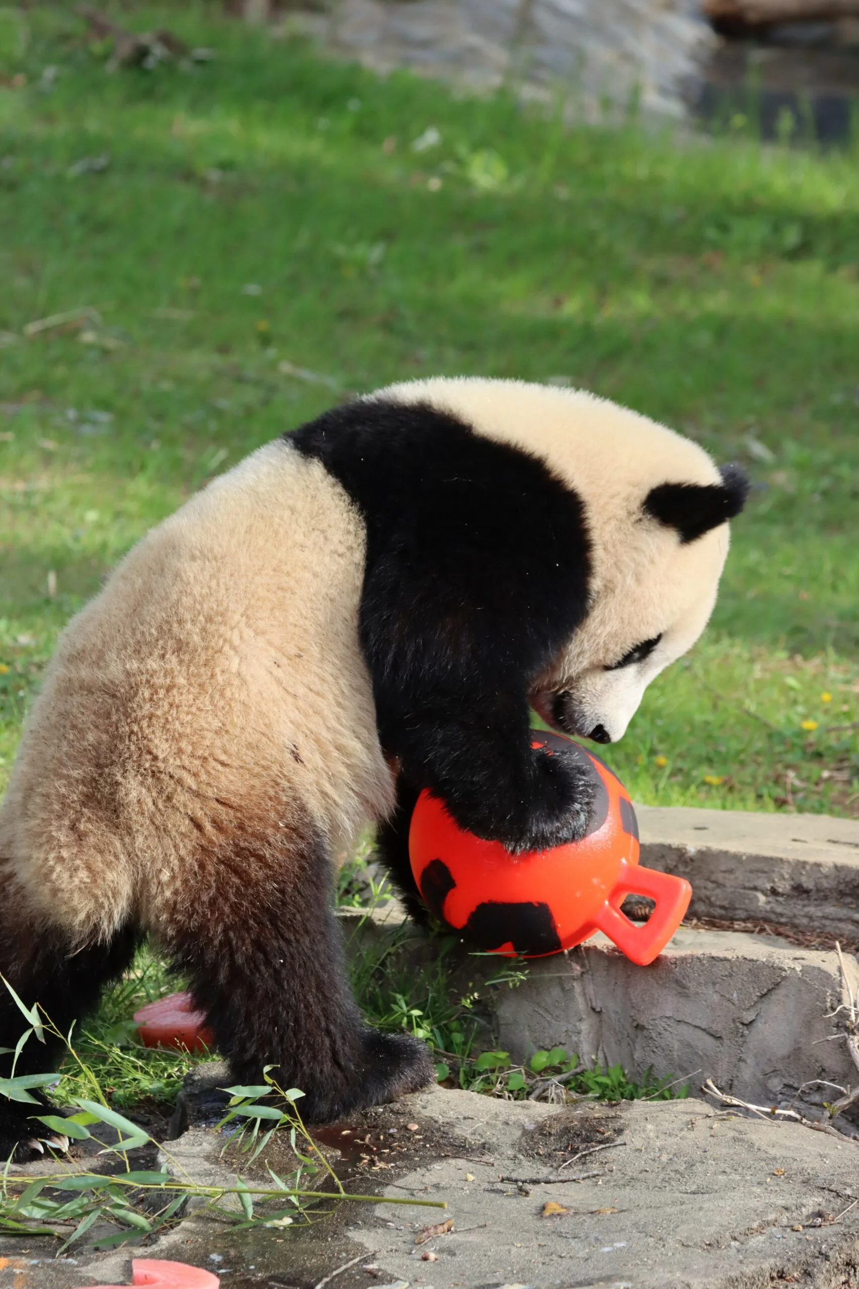 Smithsonian's National Zoo