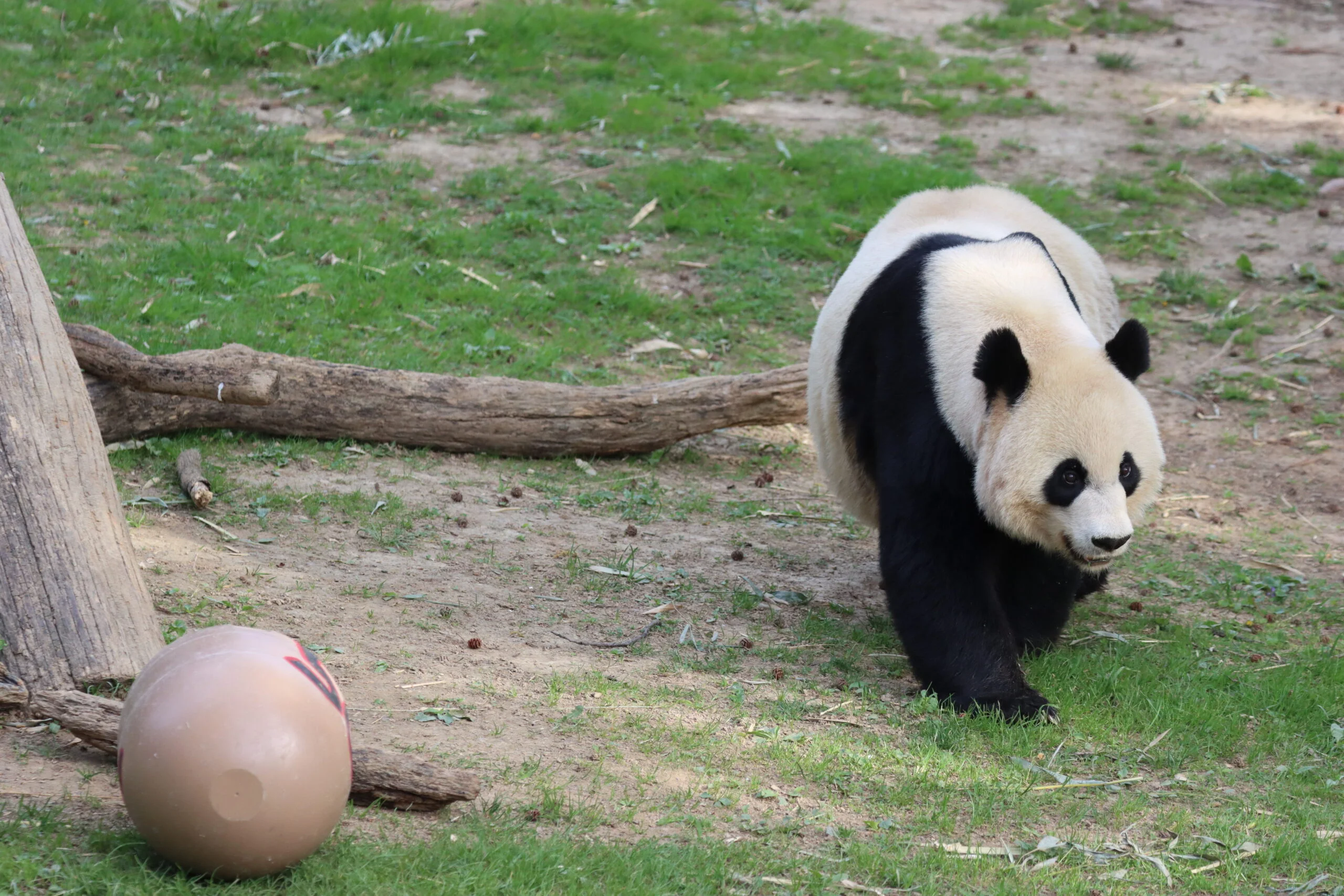 Smithsonian's National Zoo