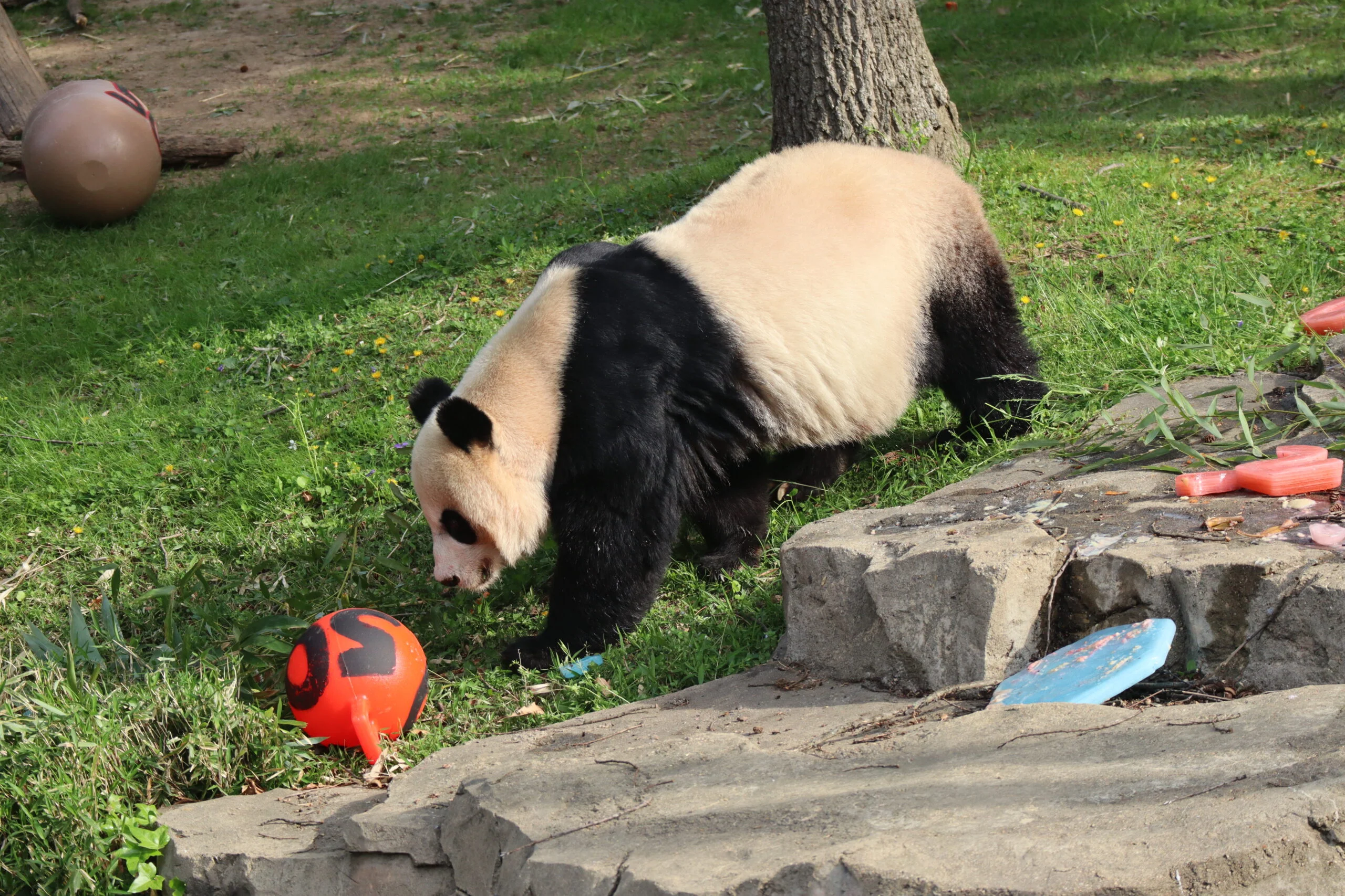 Smithsonian's National Zoo
