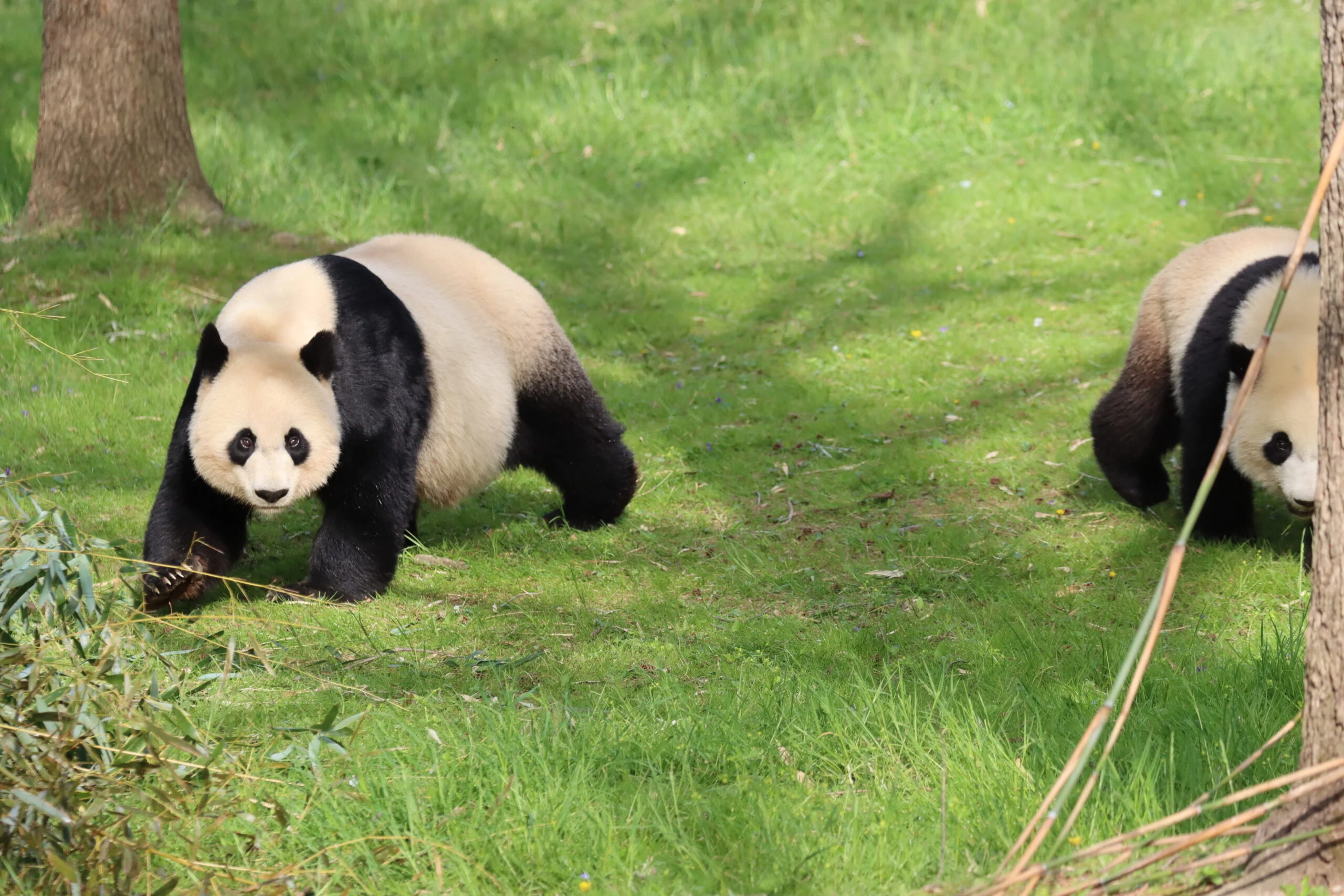 Smithsonian's National Zoo