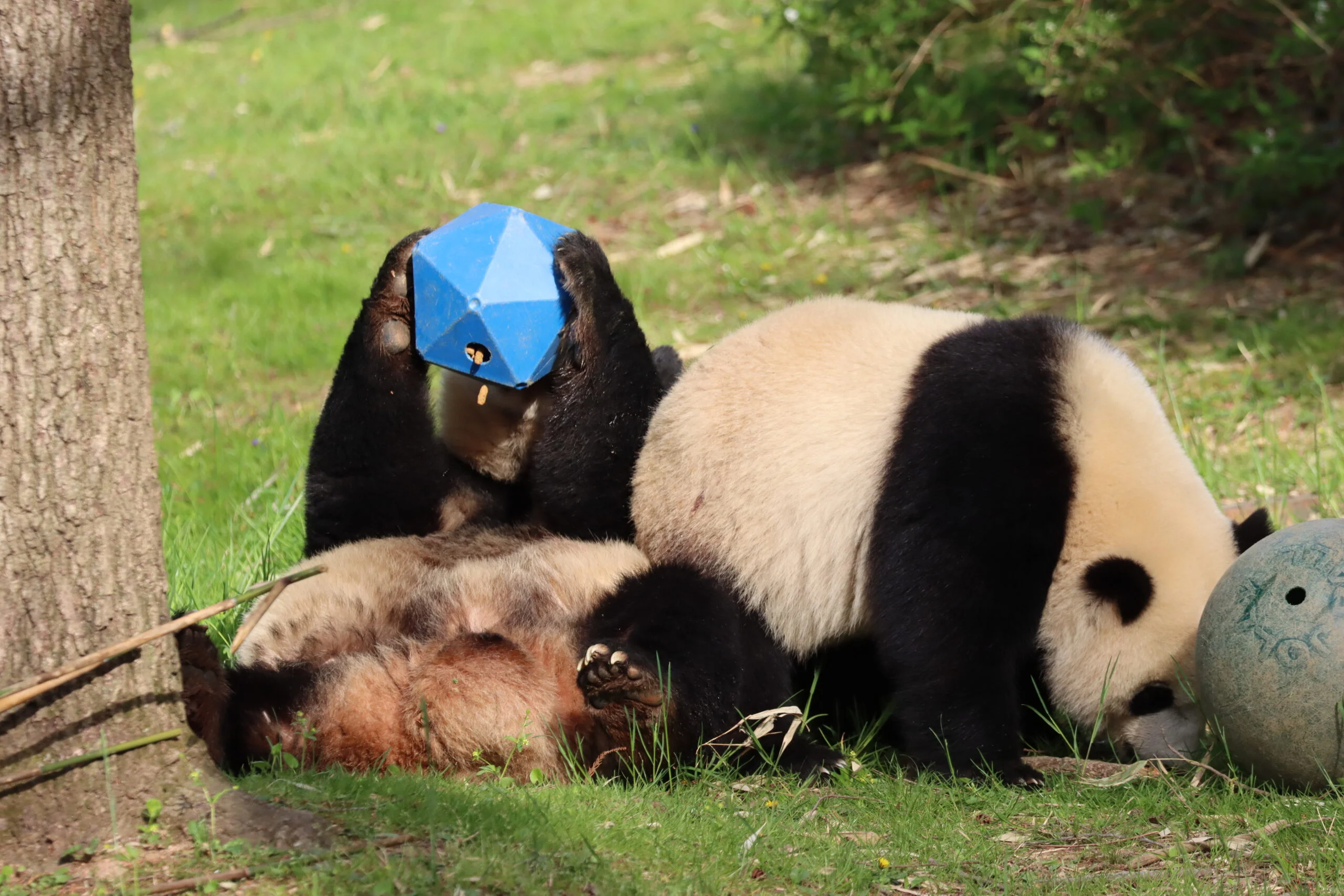 Smithsonian's National Zoo