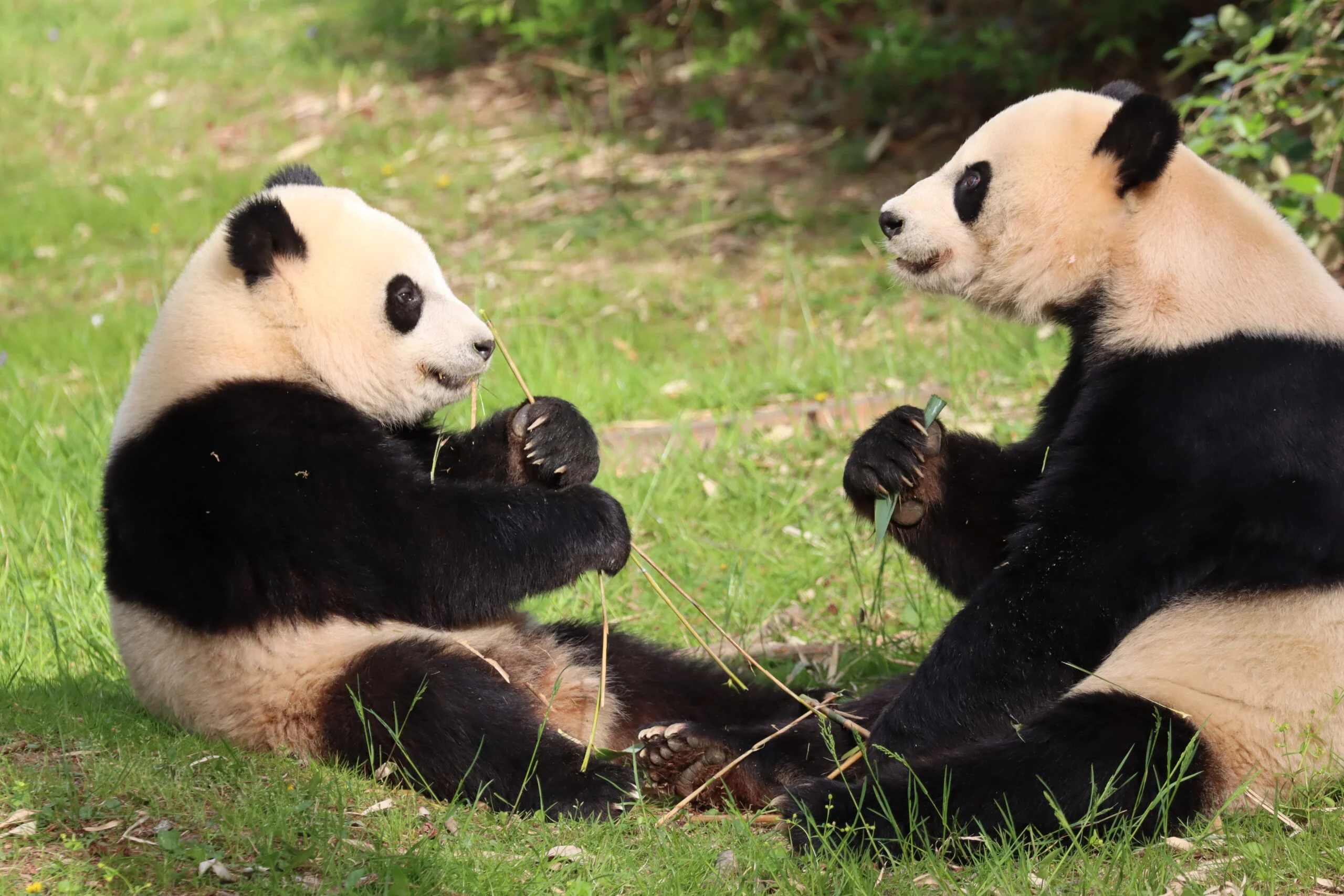 Smithsonian's National Zoo