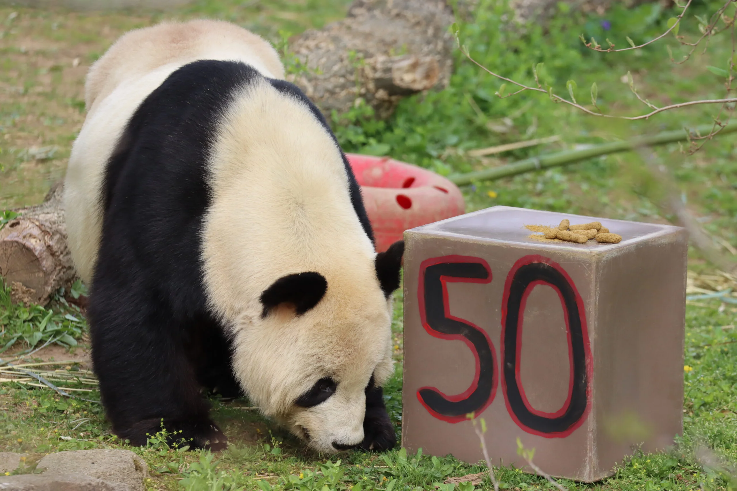 Smithsonian's National Zoo