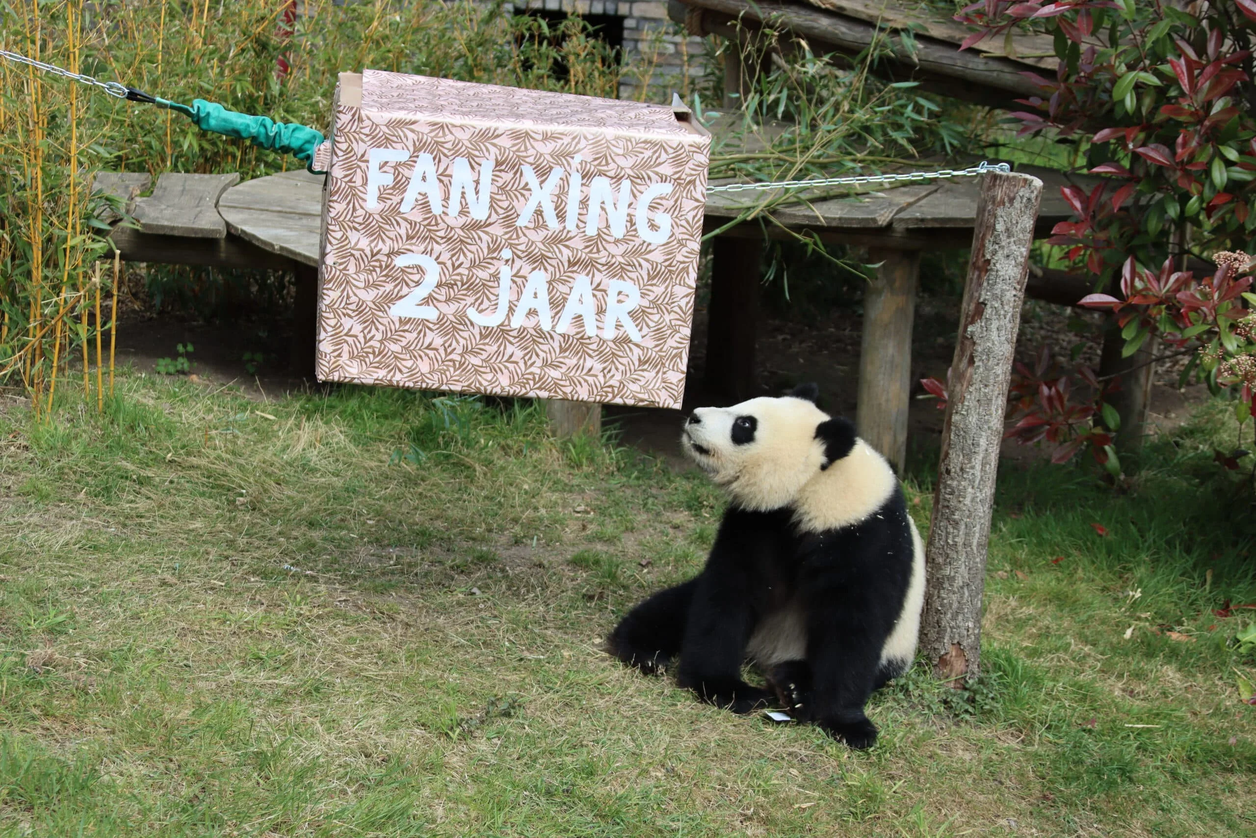 Ouwehands Dierenpark Rhenen