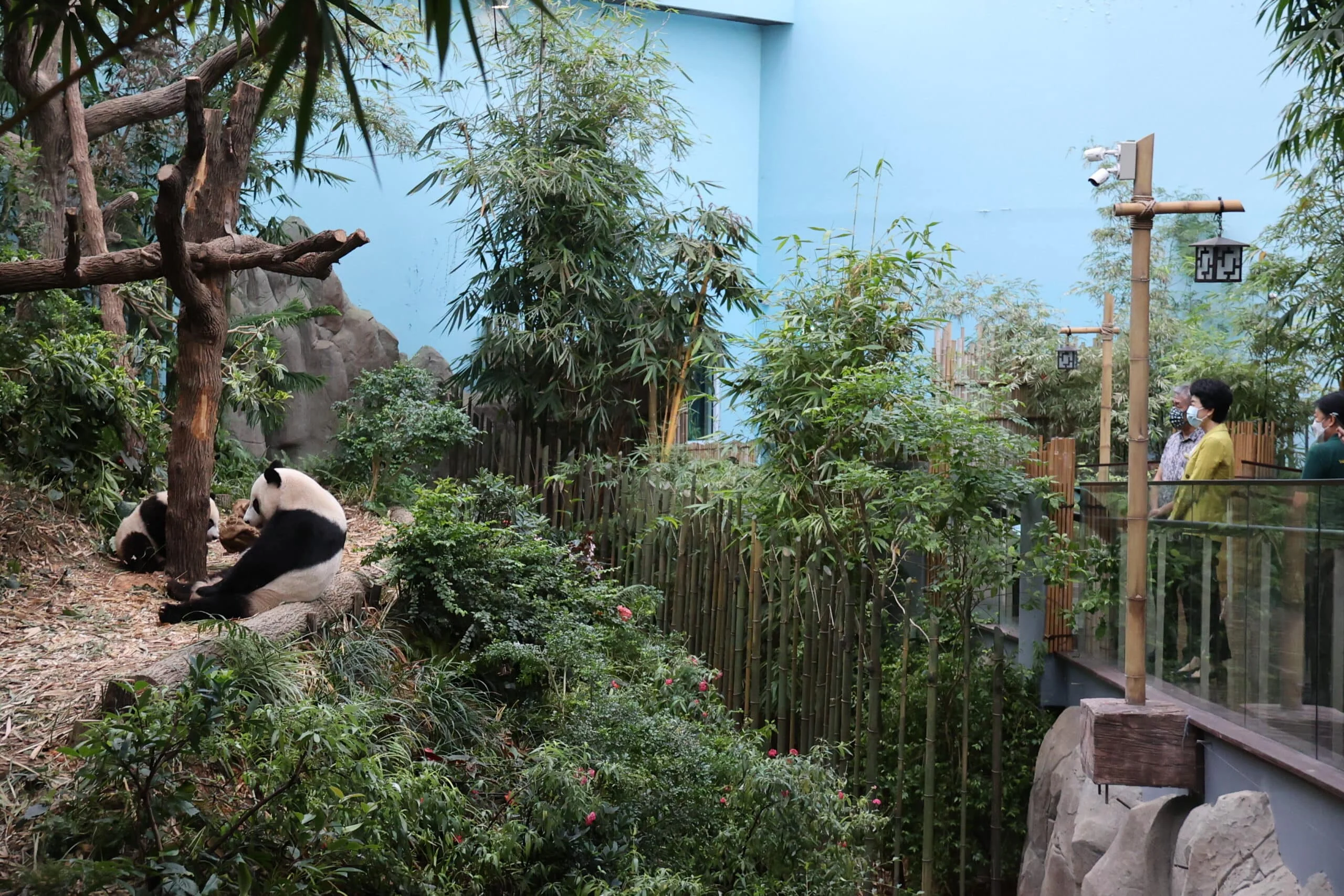 Mandai River Wonders