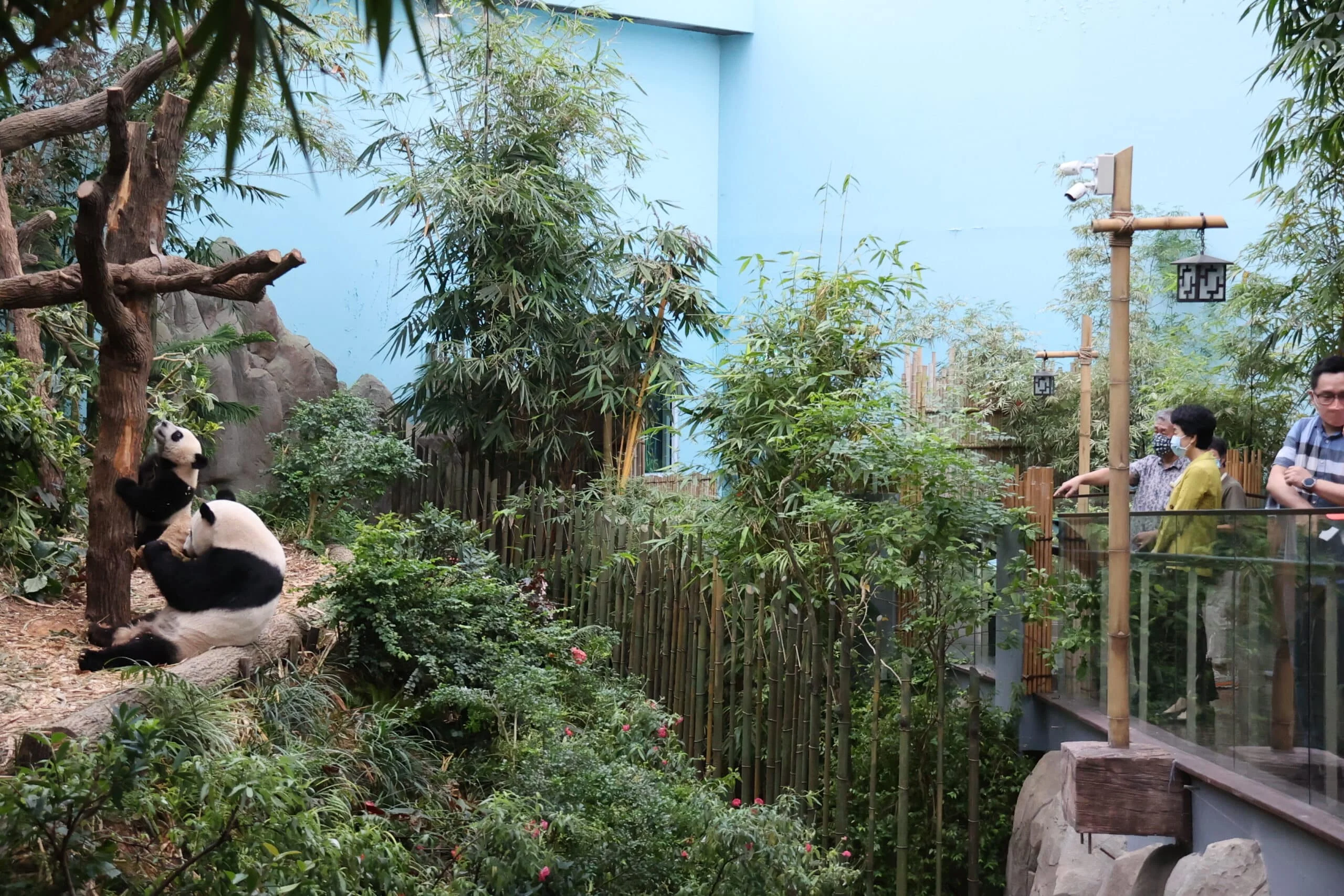 Mandai River Wonders