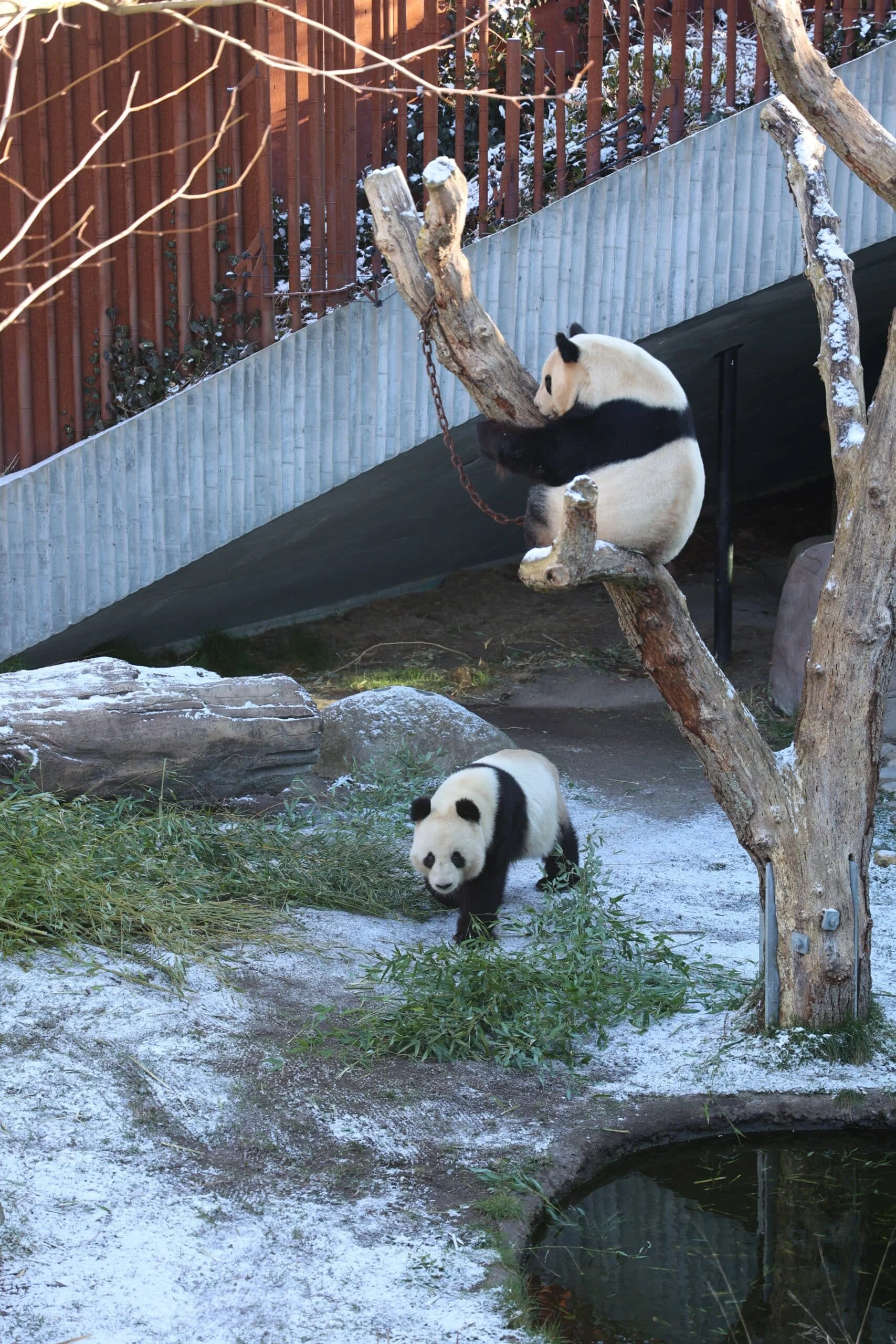 Zoo København