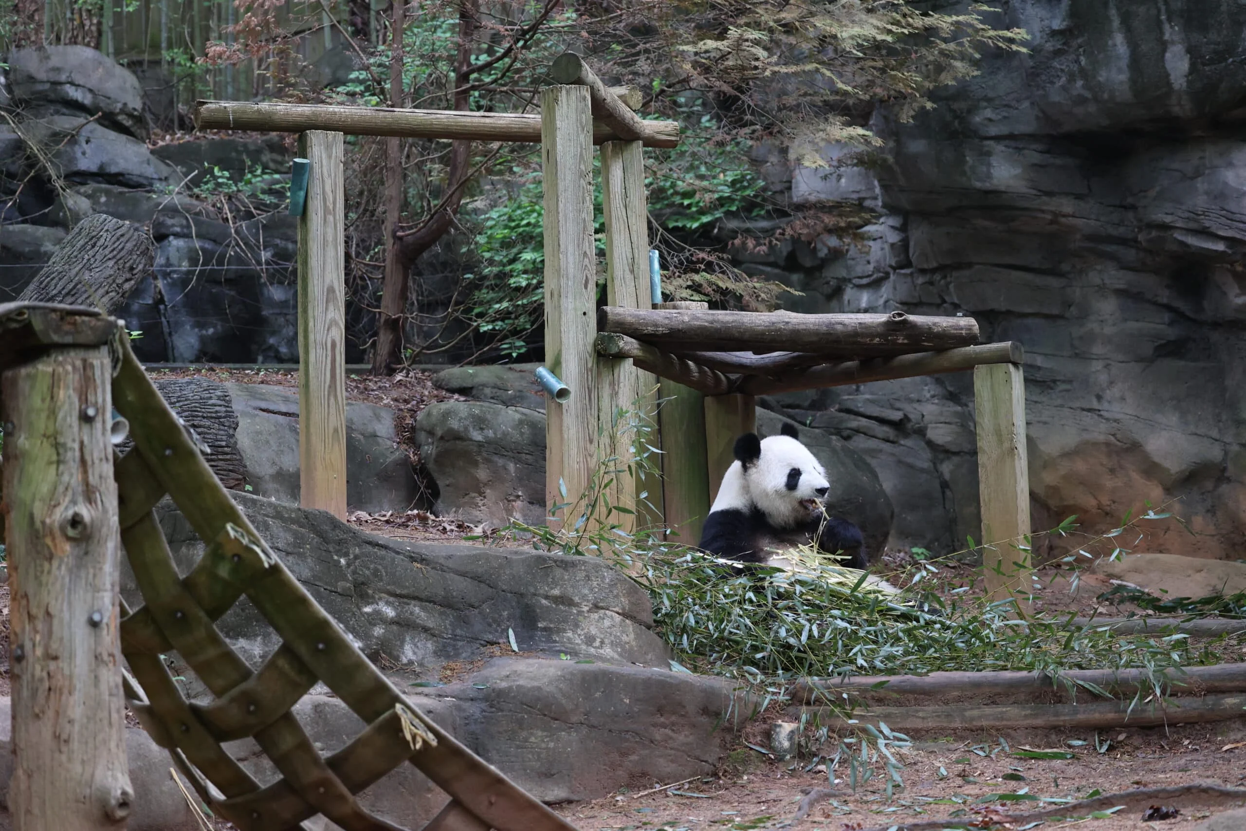 Zoo Atlanta