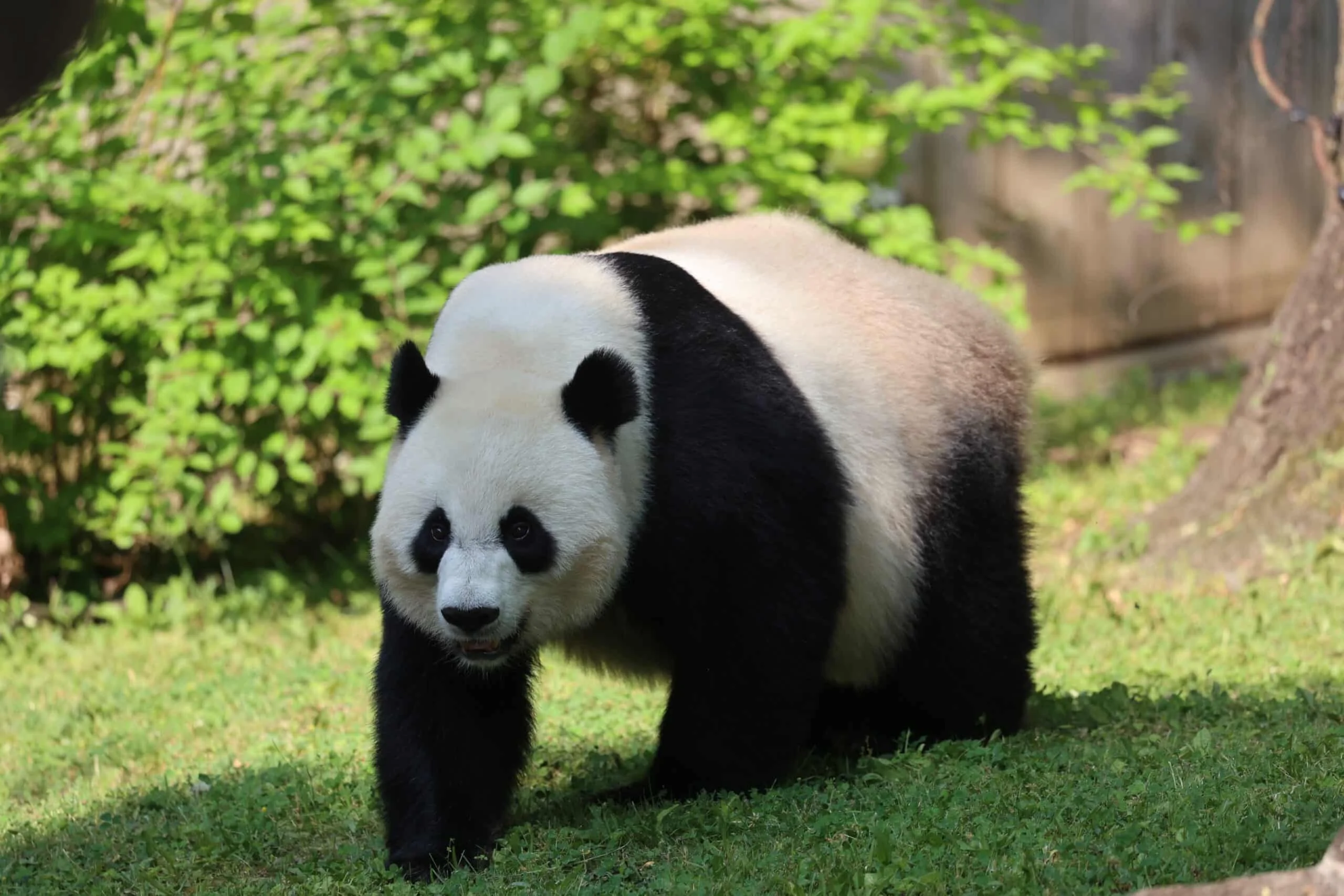 Smithsonian's National Zoo