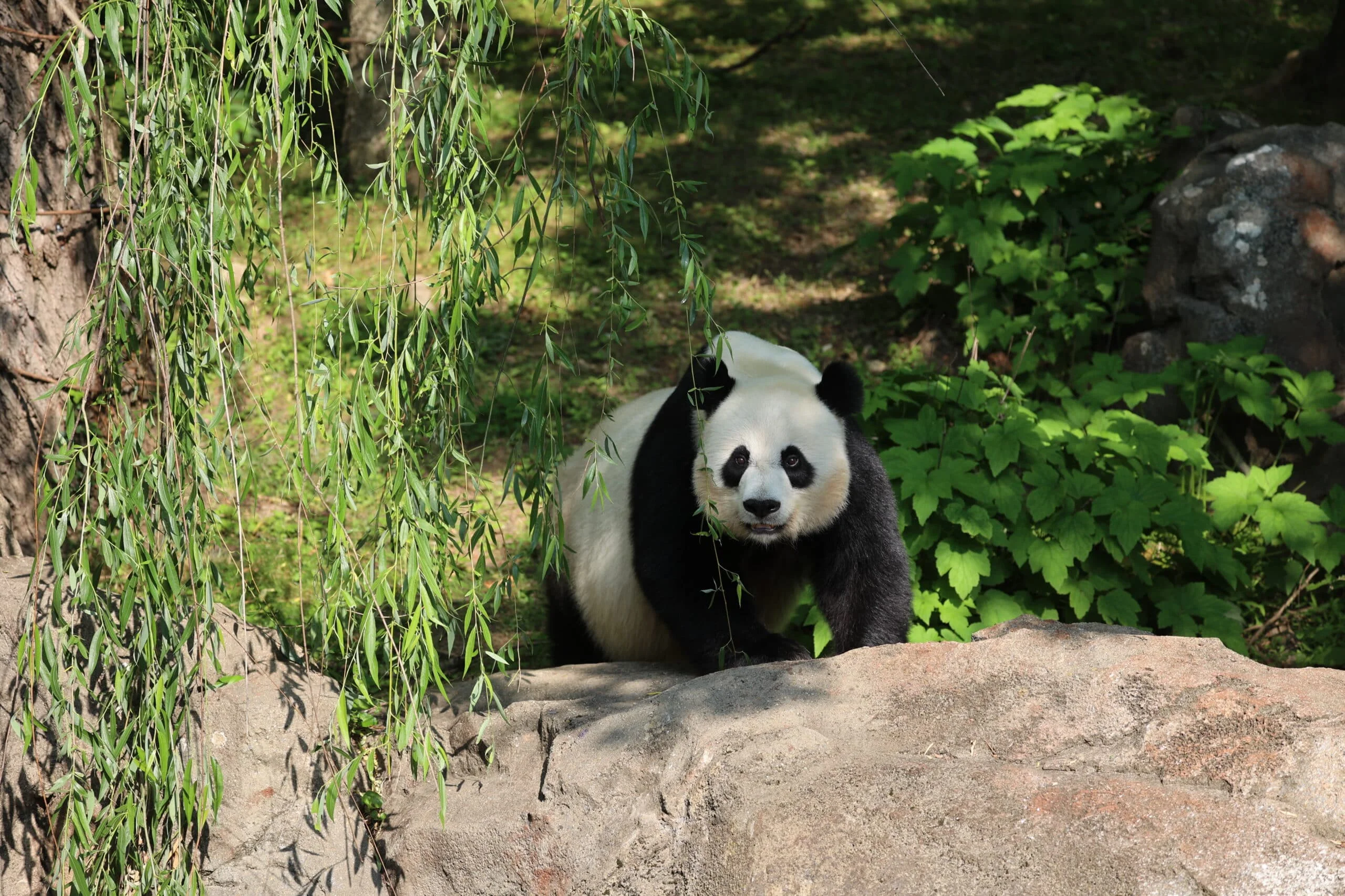 Smithsonian's National Zoo
