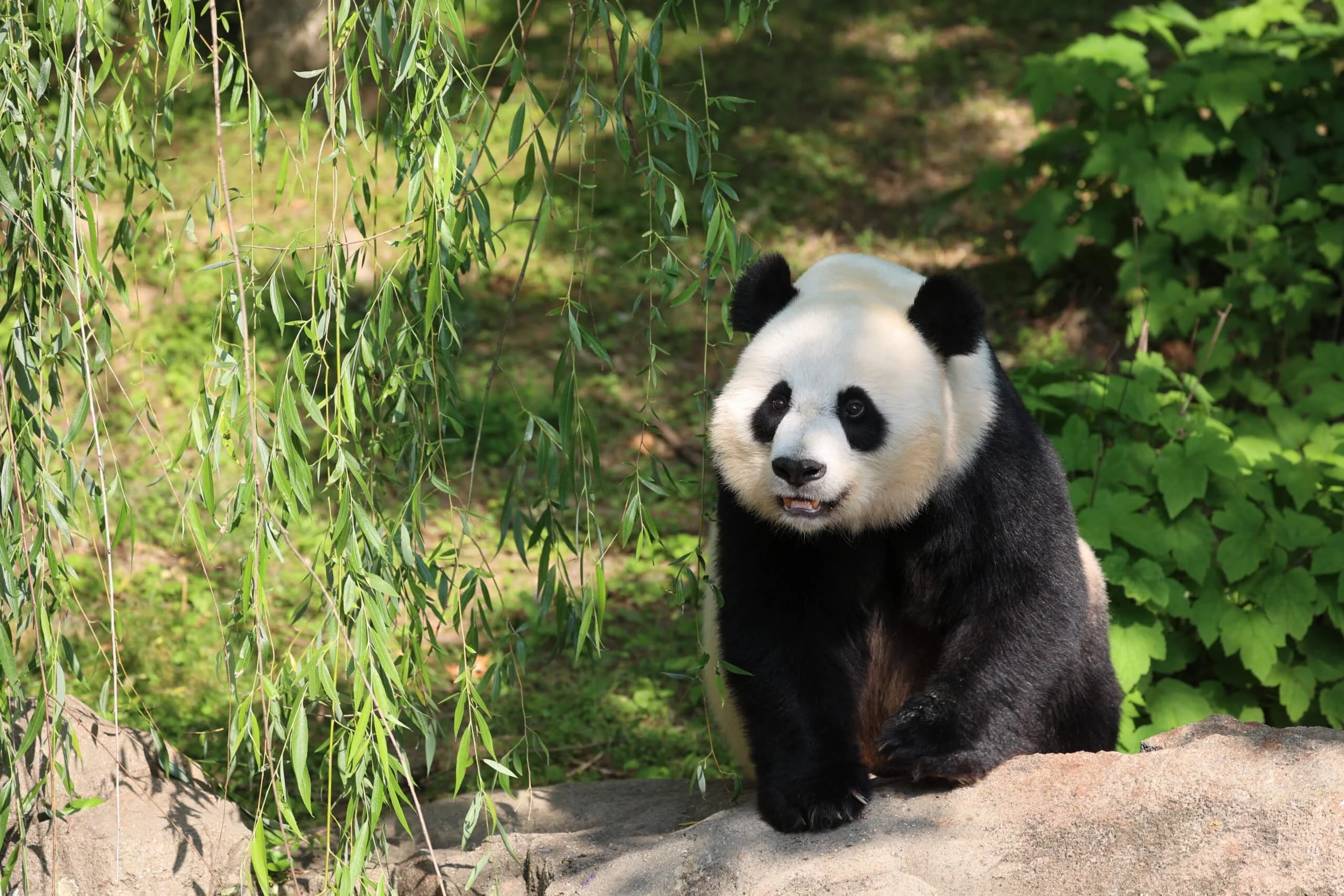 Smithsonian's National Zoo