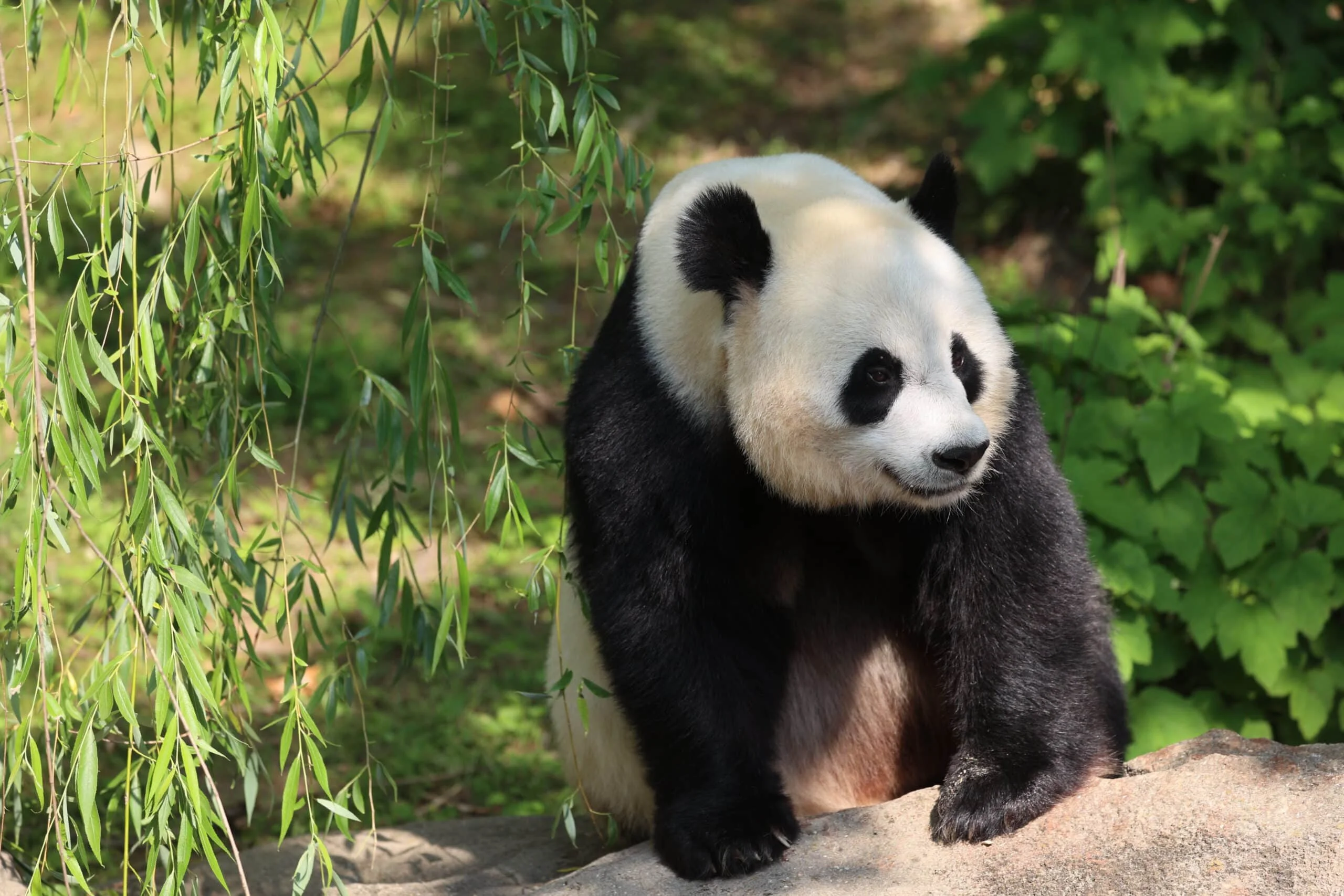 Smithsonian's National Zoo