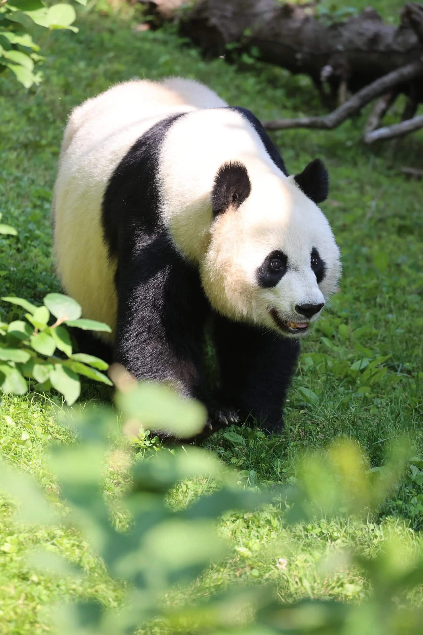Smithsonian's National Zoo