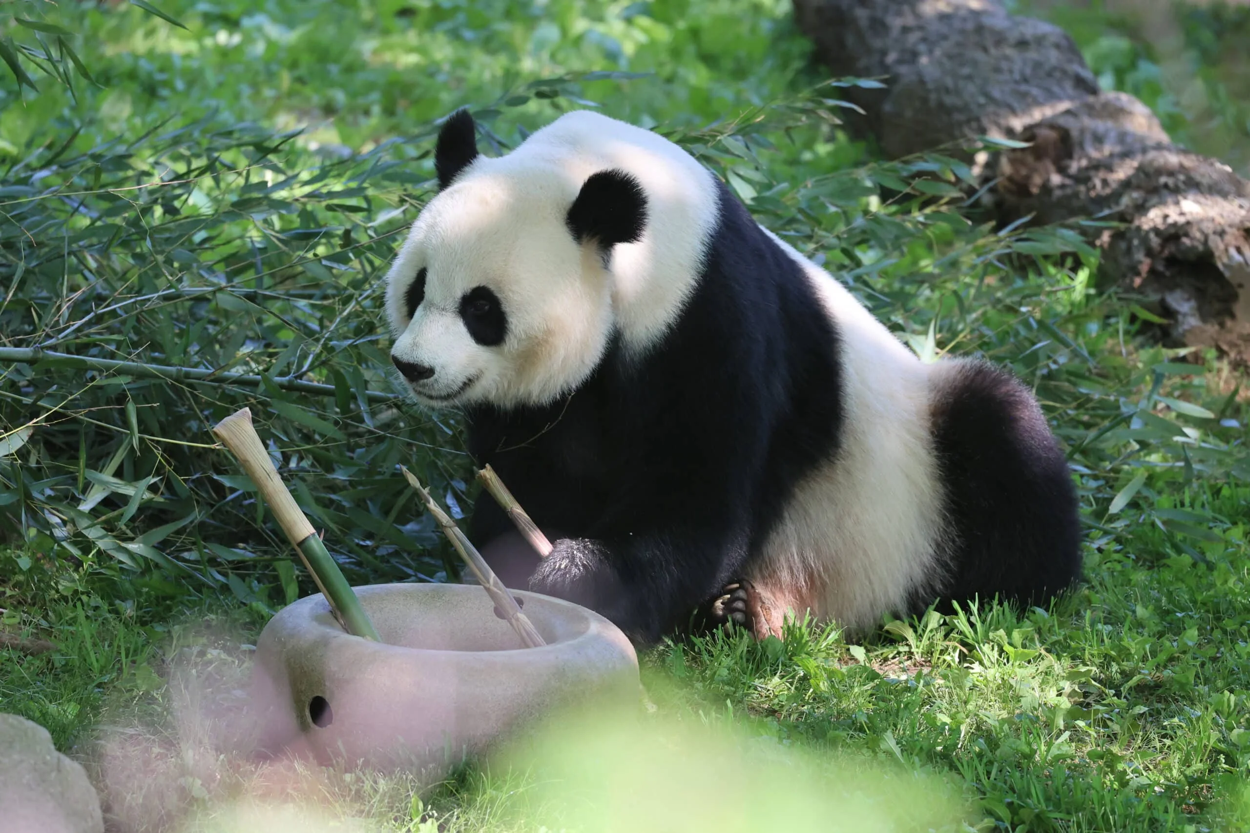 Smithsonian's National Zoo