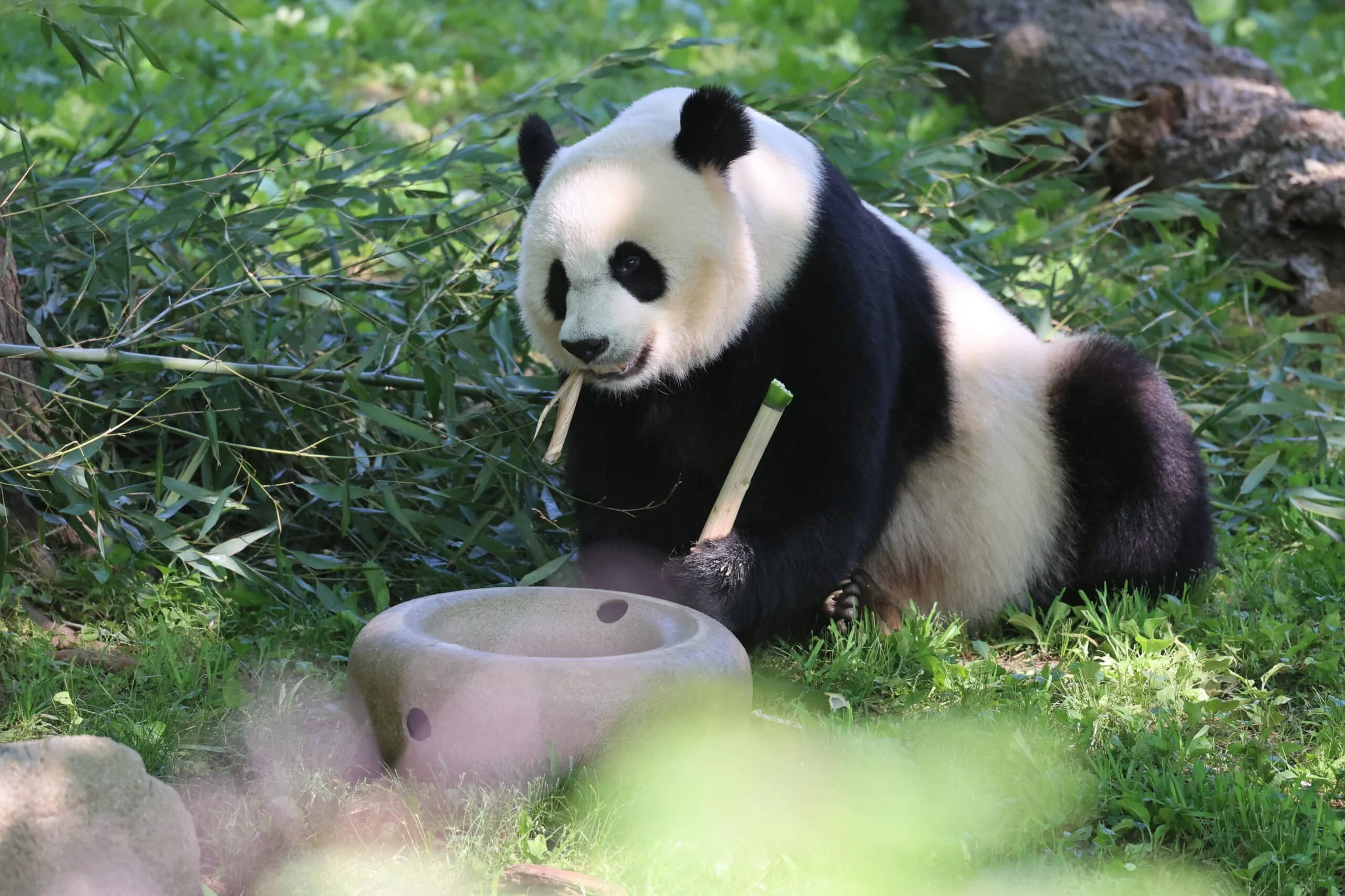 Smithsonian's National Zoo