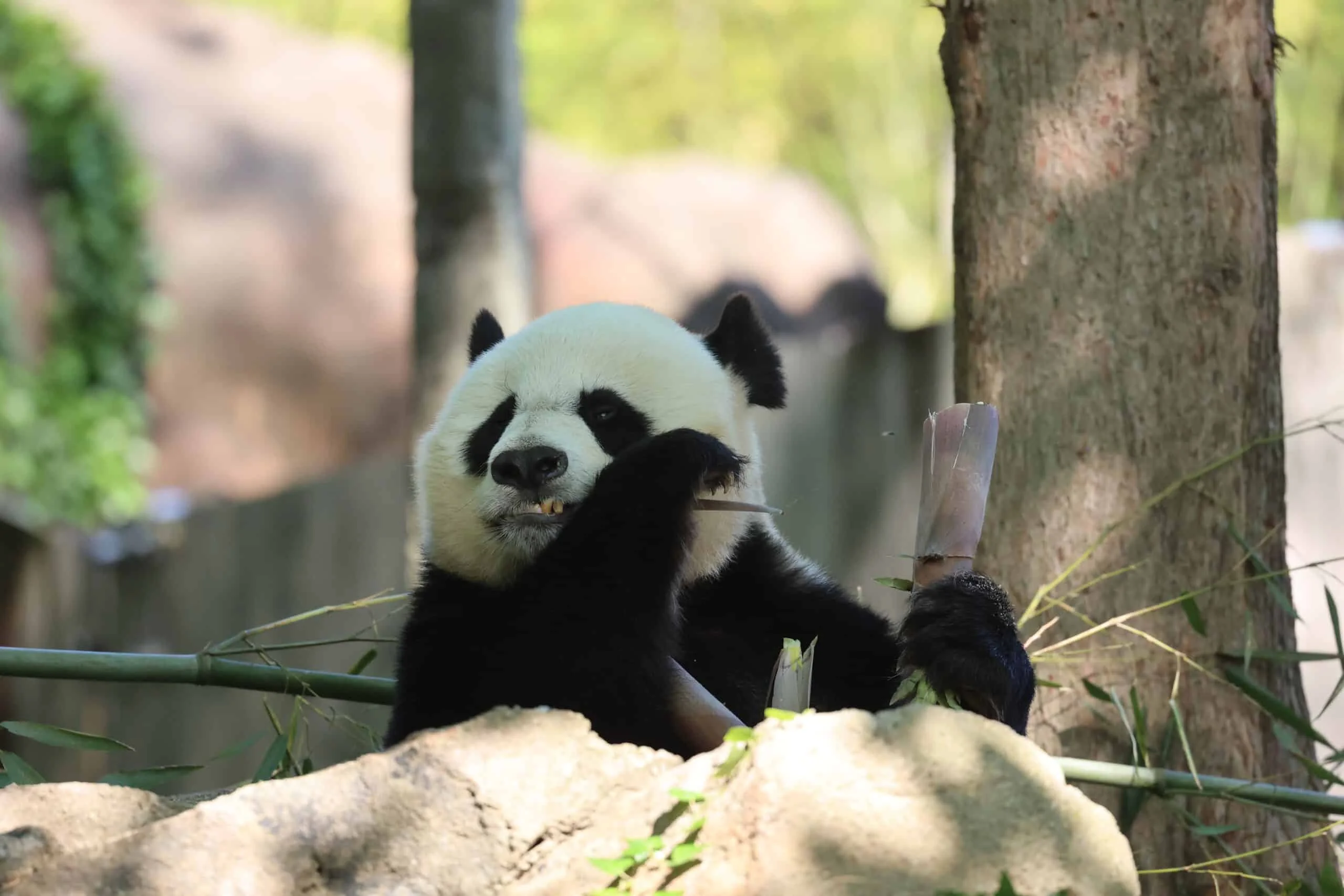 Smithsonian's National Zoo