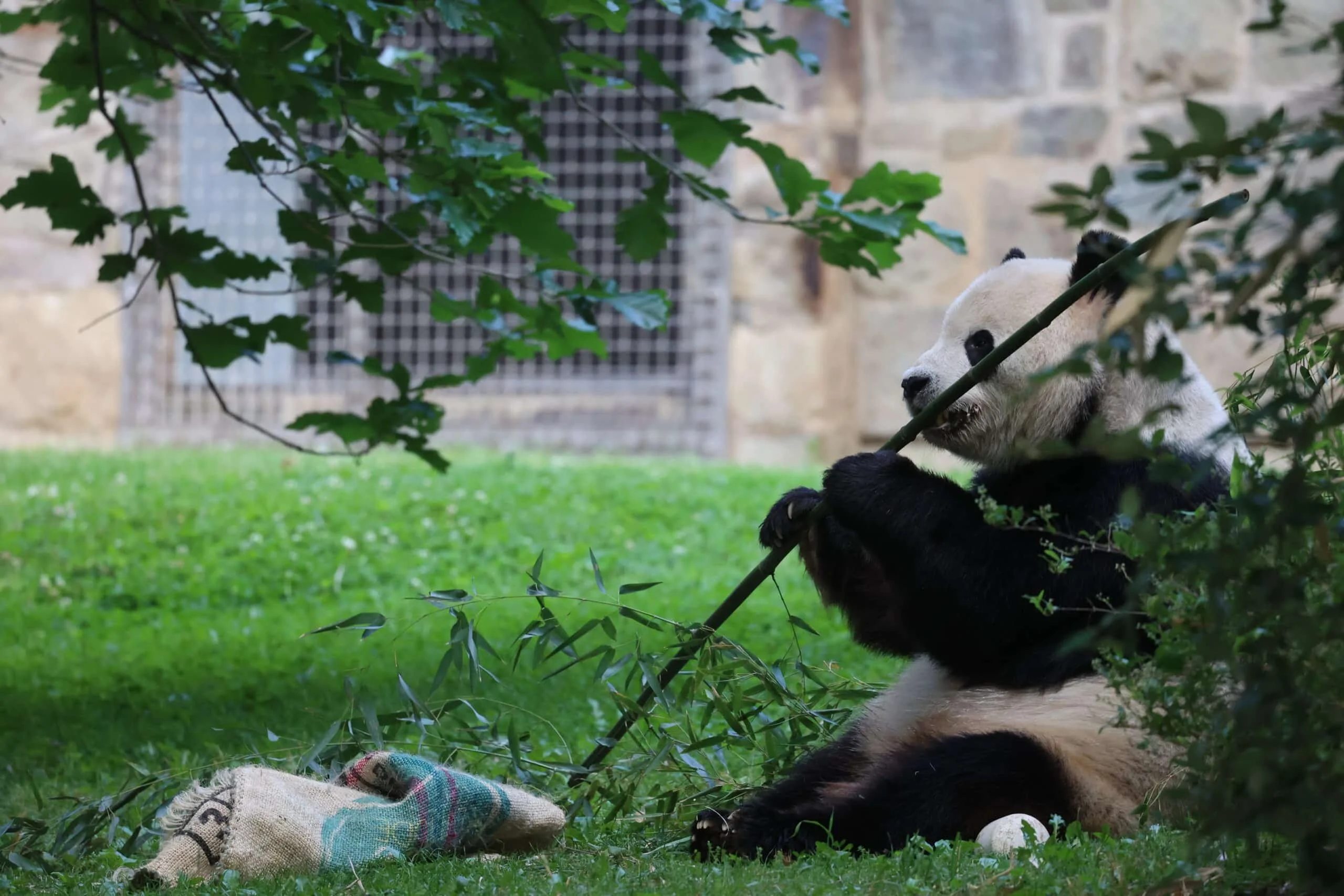 Smithsonian's National Zoo