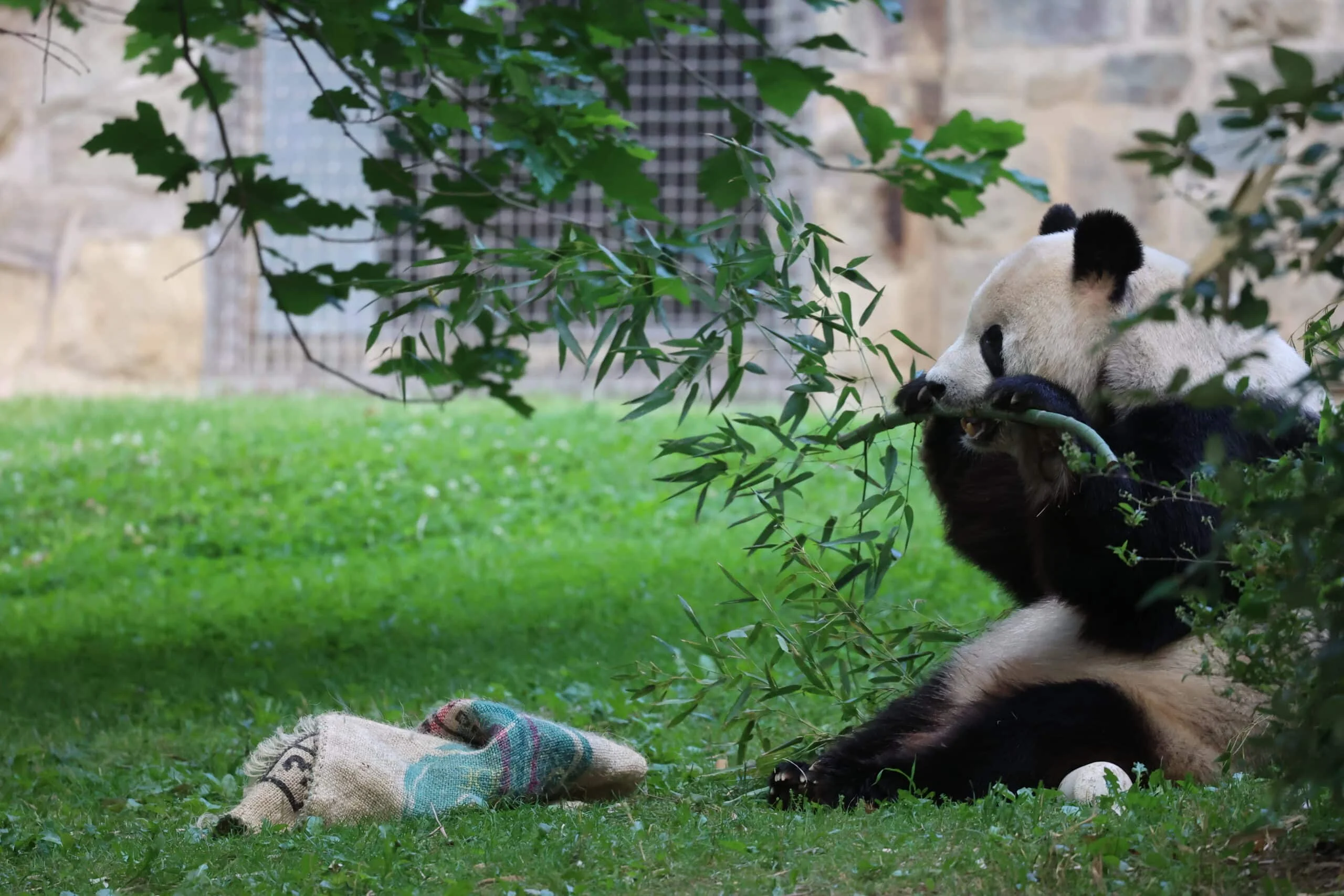 Smithsonian's National Zoo